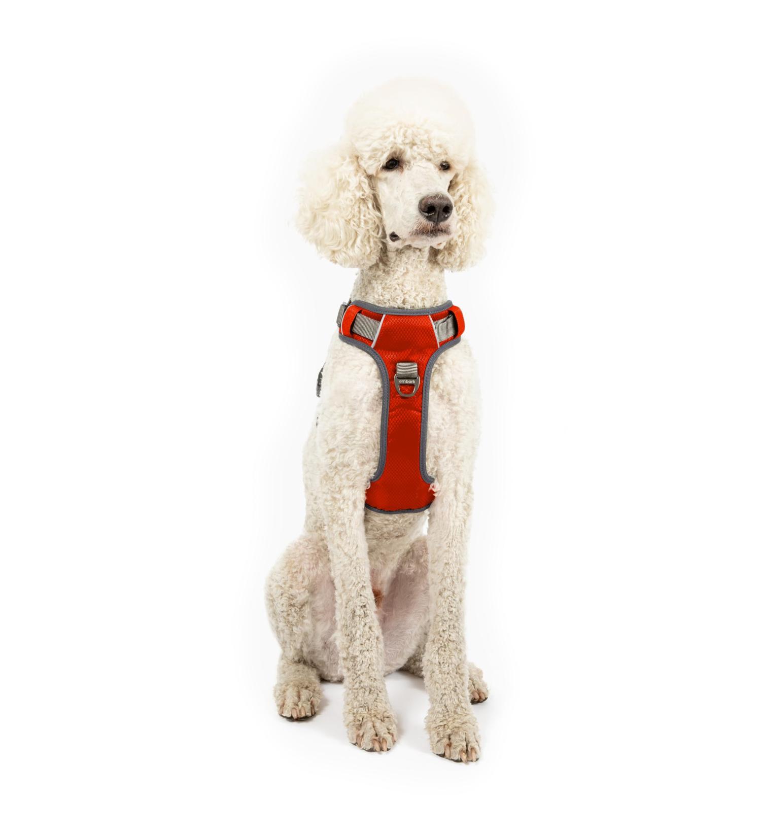 Embark Pets Adventure Dog Harness Medium - No Pull, Anti-Pull, Adjustable, Orange - Chest 60-77 cm - Buy Online on GoSupps.com