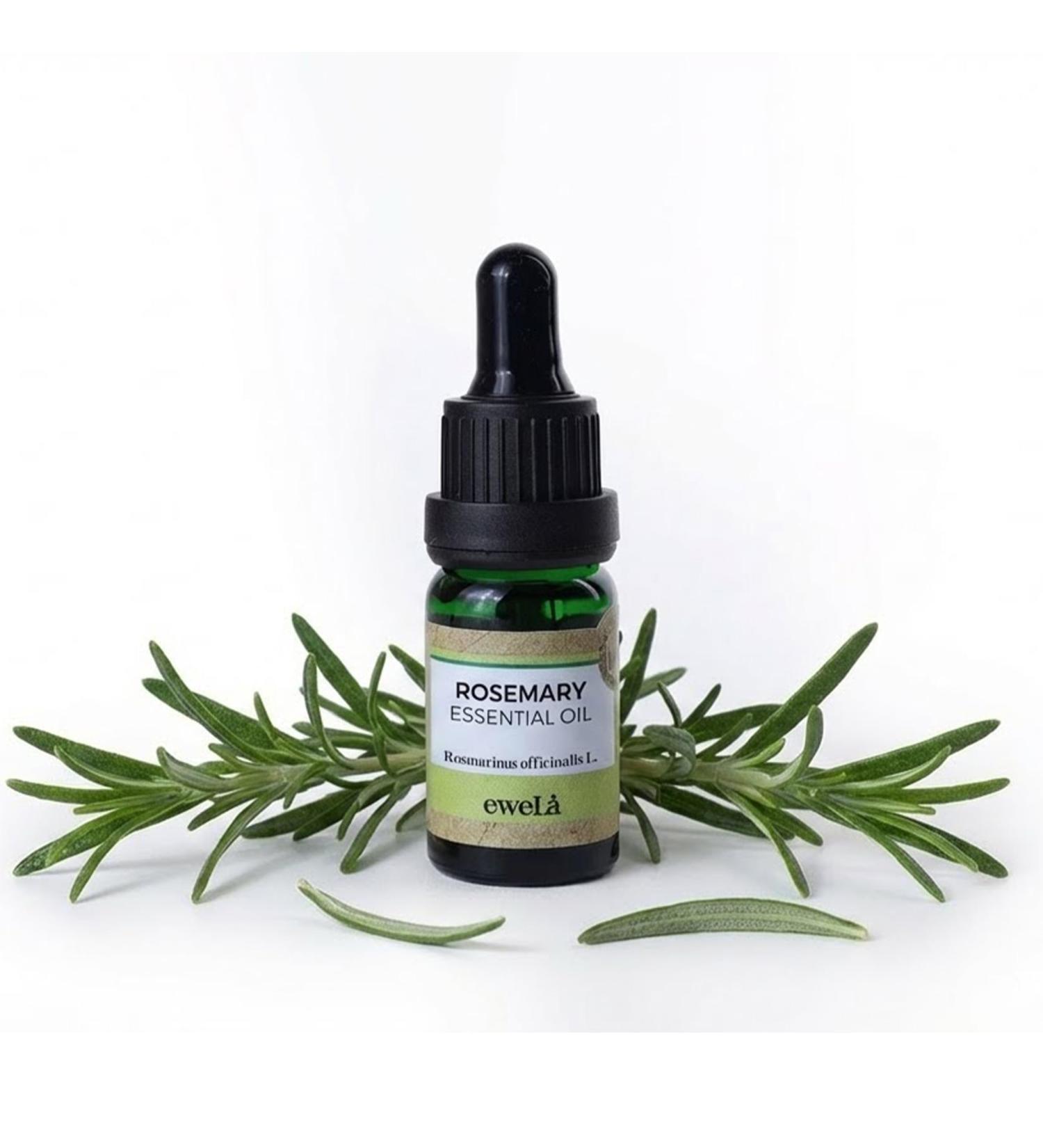 Ewela Rosemary Essential Oil 100% Pure Steam Distilled 0.34 Fl Oz Aromatherapy Relaxation All Seasons - Buy Online on GoSupps.com