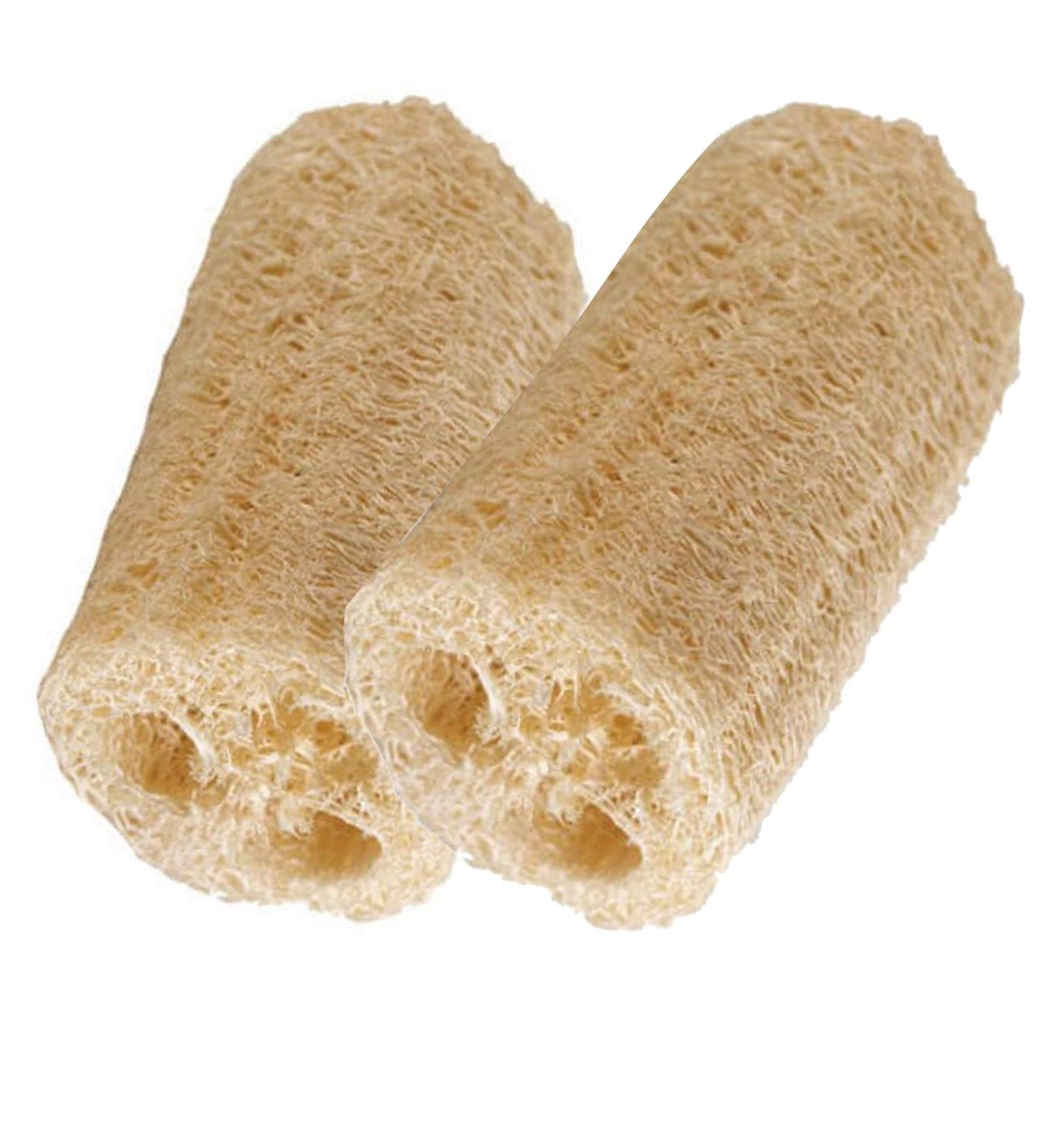 Organic Loofa Bath Sponge Set - 2 Exfoliating Scrubbers | Naturally Grown Loofah - HealthGoodsIn - Buy Online on GoSupps.com