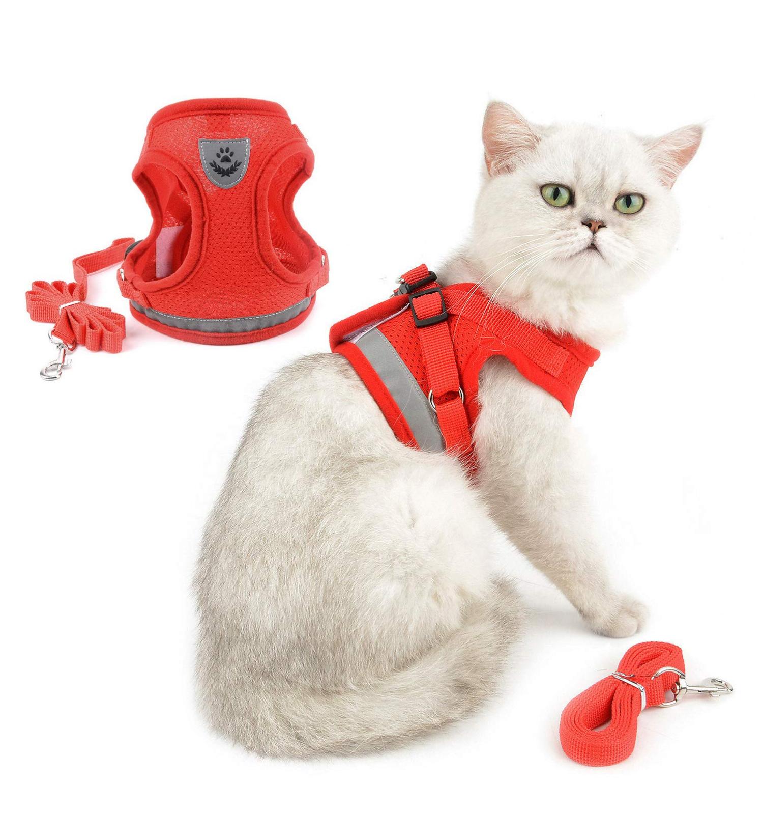 Ranphy Cat Dishes & Breakproof Reflective Chest Harness for Small Cats | Soft Fabric Puppy Dishes | XS Red - Perfect for Cats & Dogs - Buy Online on GoSupps.com