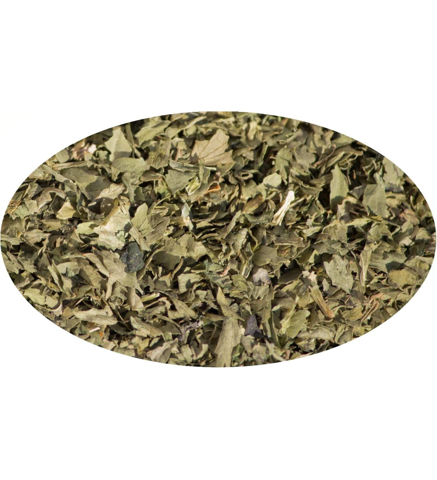 Eder Gew rze sellerie feuilles Norma pices 1 kg 1er Pack (1 x 1 kg)