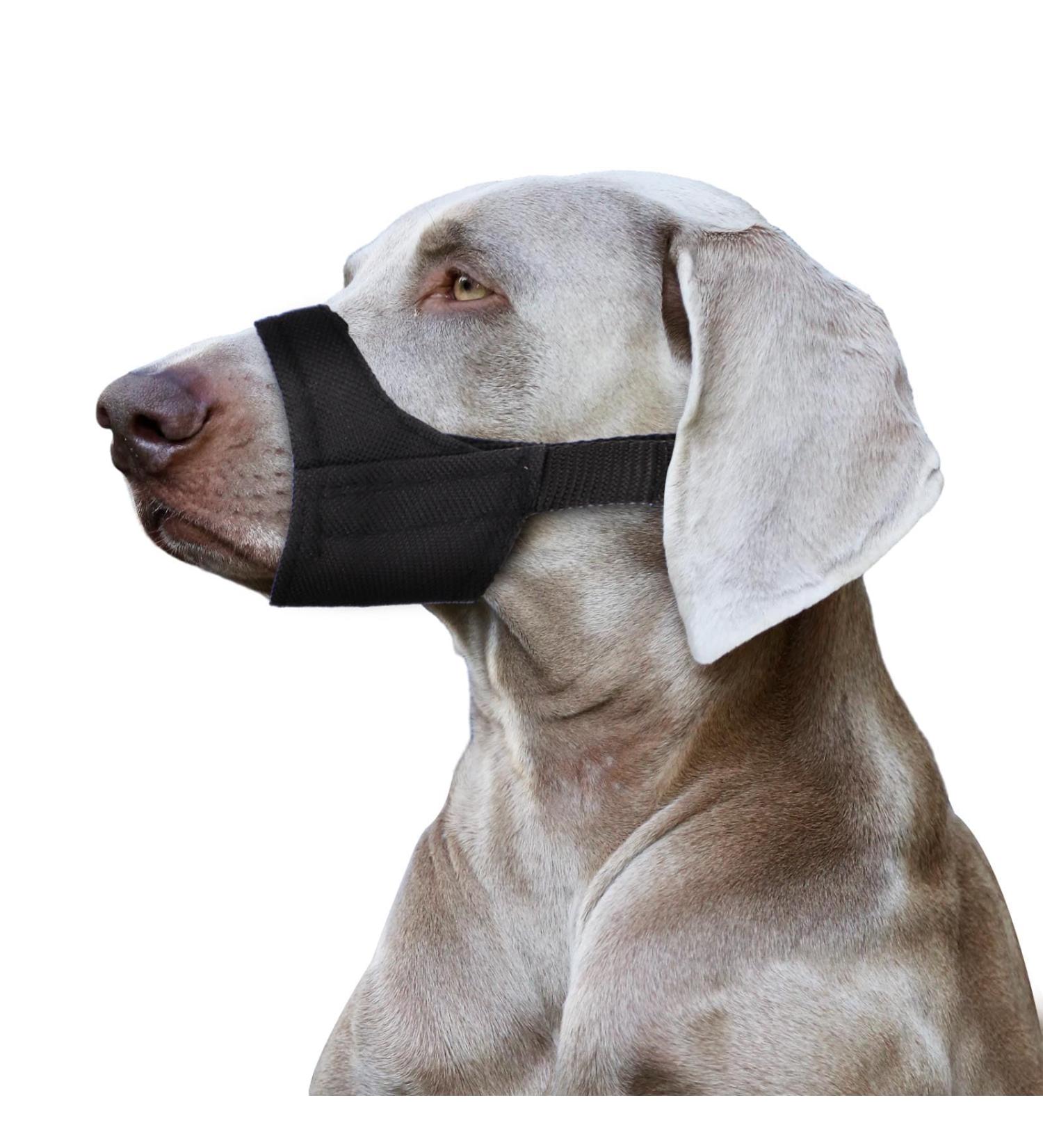 Soft Dog Muzzle for Short Snouts | Ideal for Small & Medium Breeds | Chihuahua Shih Tzu | Size 24.1-26.7cm - Buy Online on GoSupps.com