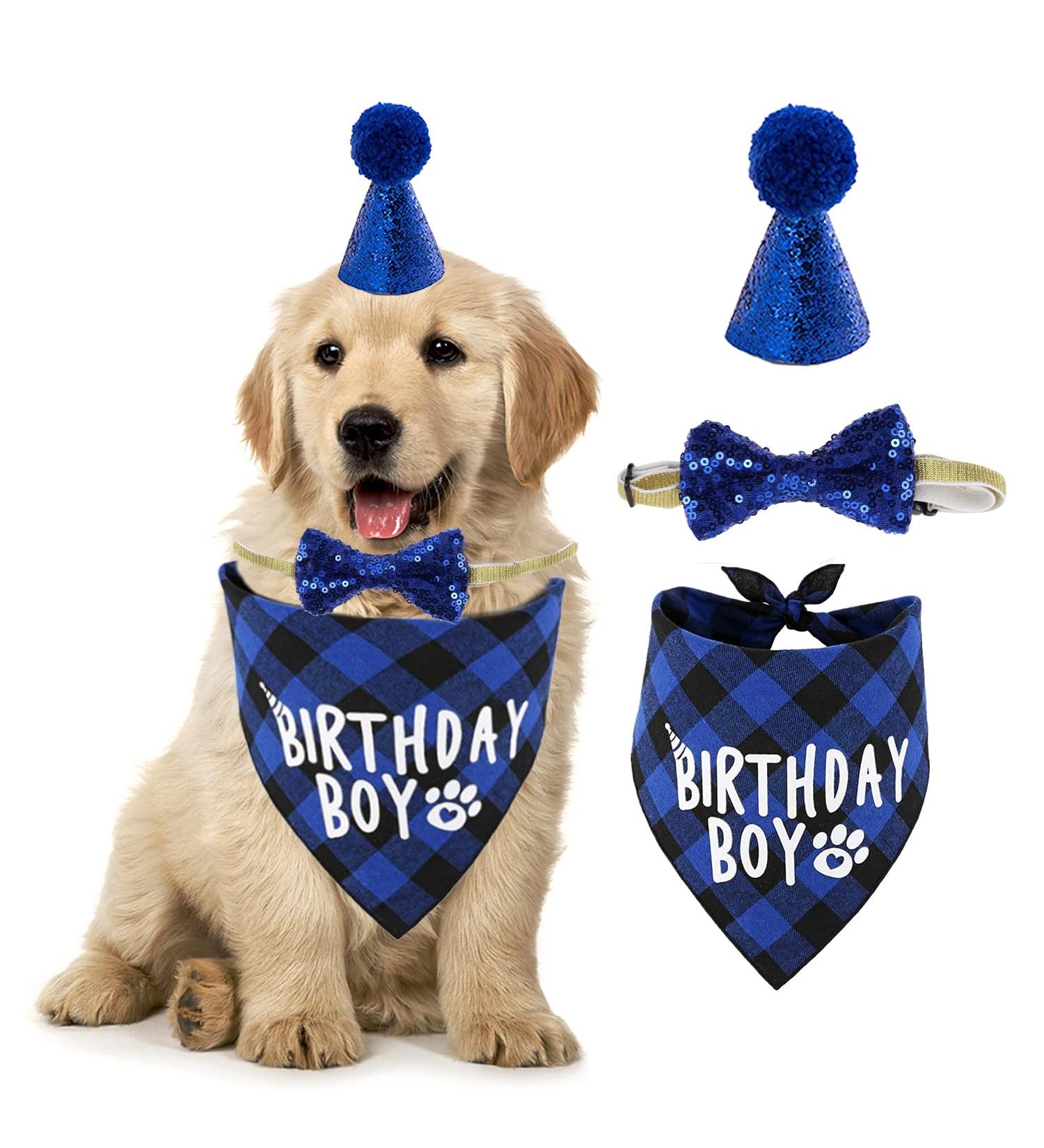 Dog Birthday Hat & Bandana Set - 3pcs Blue Dog Party Accessories for Boys & Girls - Perfect for Puppies & Cats - Buy Online on GoSupps.com
