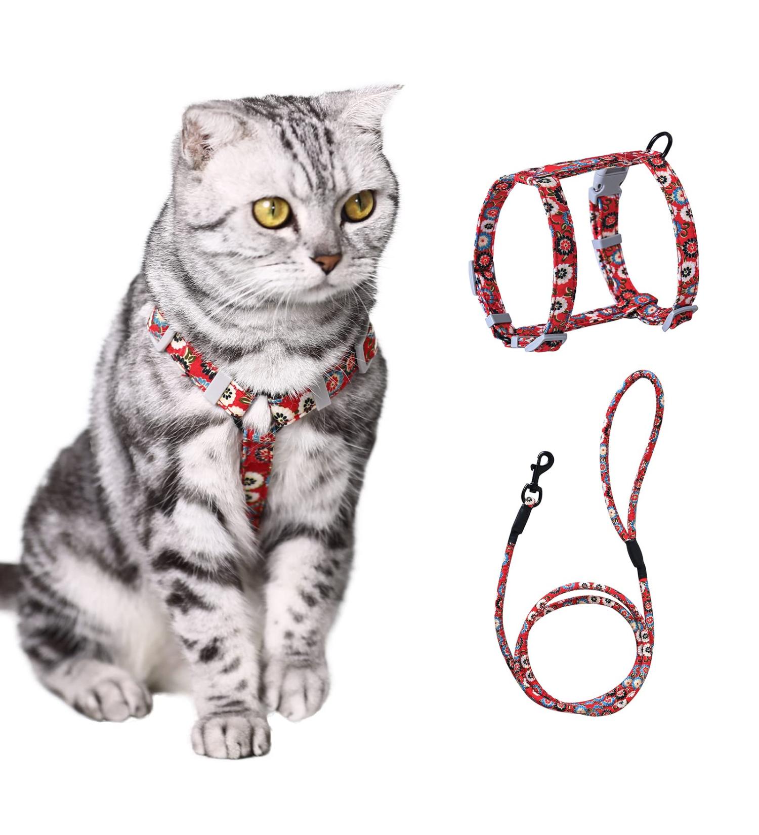 Buy Pettom Flower Pattern Cat Dishes & Adjustable Leash for Small to Medium Cats - Break-Proof & Stylish - International Shipping Available - Buy Online on GoSupps.com