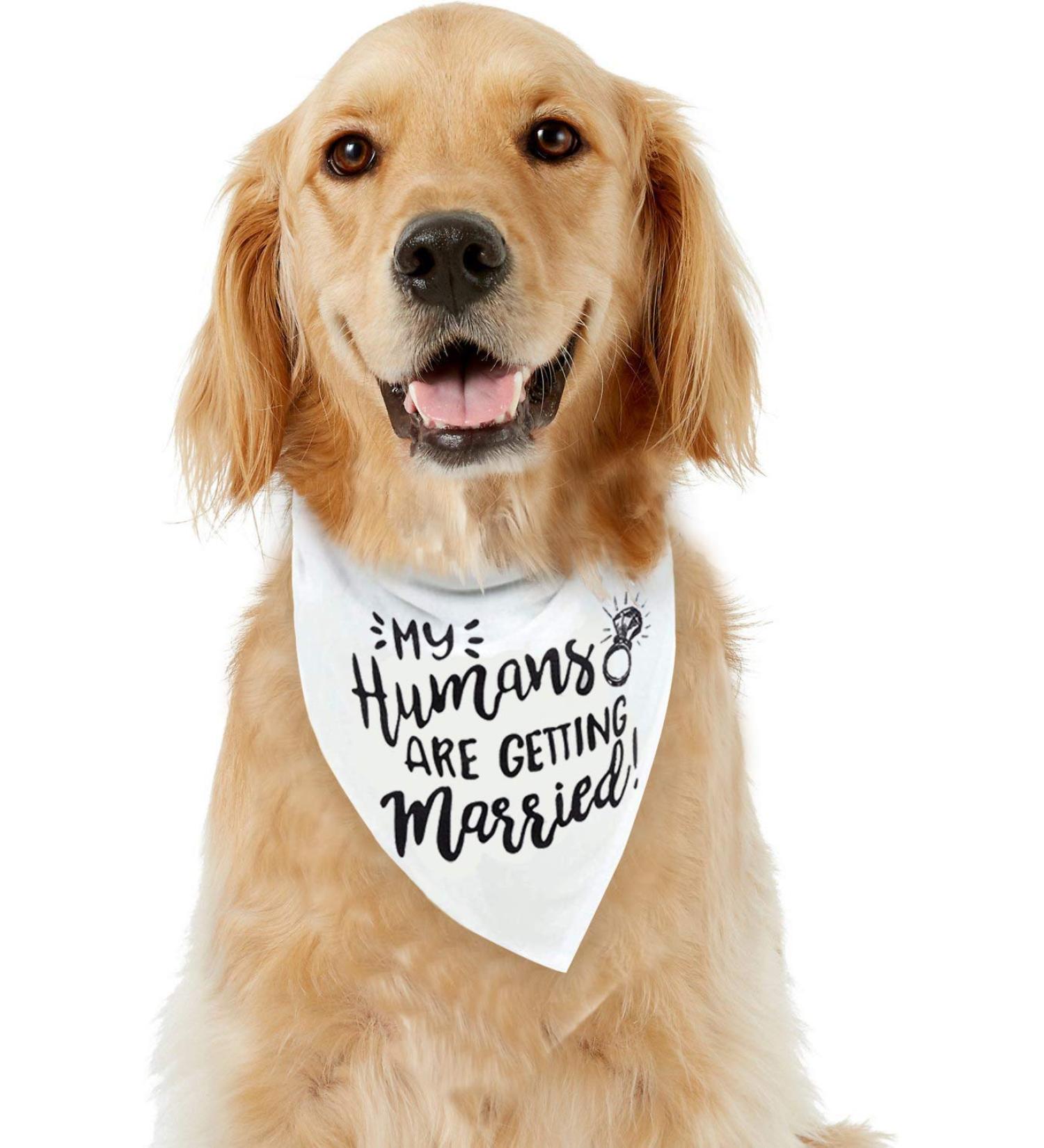 Dog Bandana EYLEER My Humans are Getting Married Dog Bandanas Scarfs Bibs for Small Medium Large Dogs Boy Girl Engagement Wedding Announcement Accessories Gifts (My Humans are Getting Married) - Buy Online on GoSupps.com