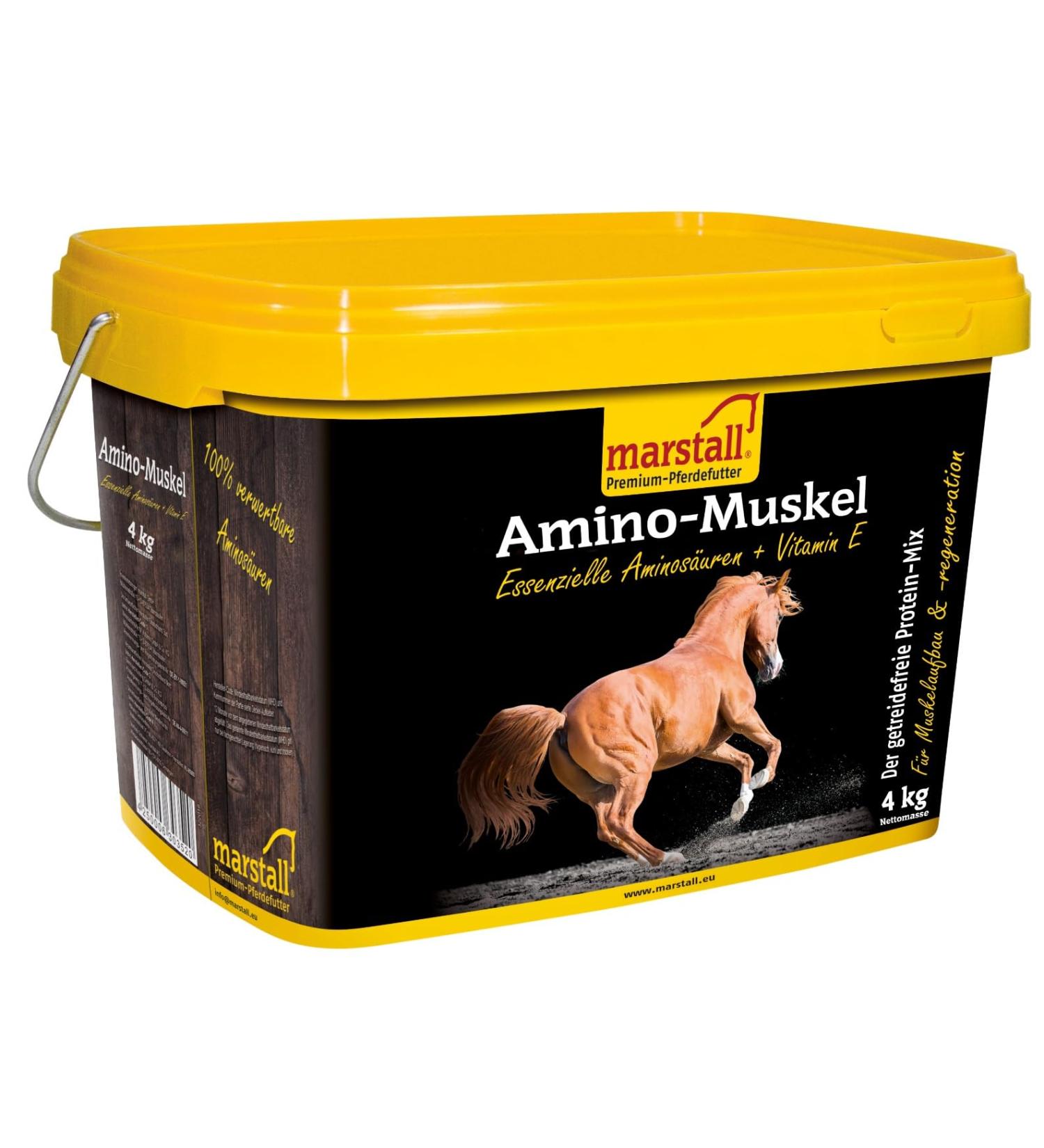 Marstall Amino Muscle 3.5 kg promotes muscle development