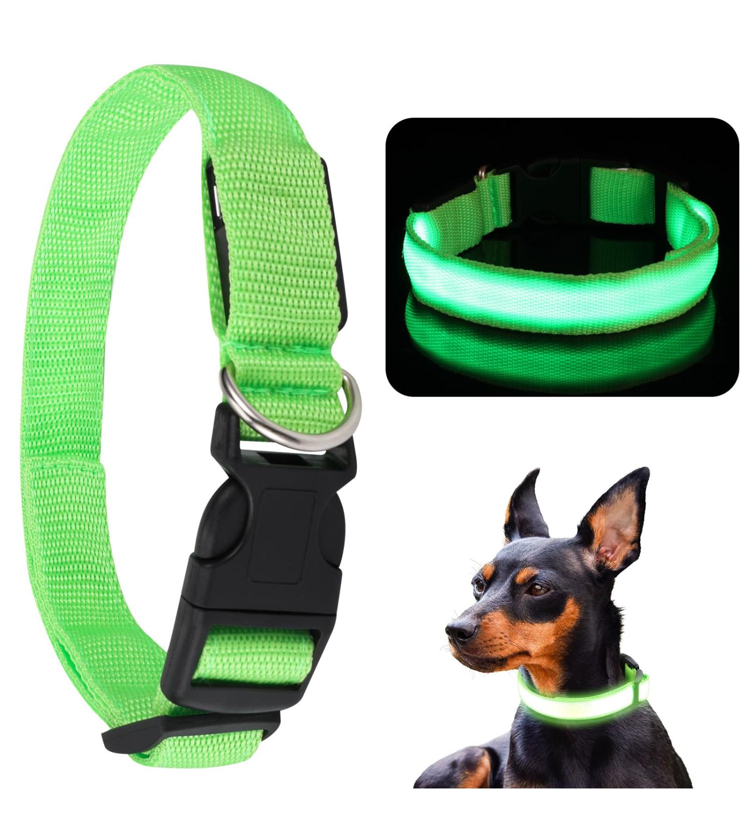 Jostift Luminous Elbe Rechargeable LED Dog Collar - Waterproof & Adjustable for Small/Medium Dogs - Super Bright with 3 Lighting Modes (Green) - Buy Online on GoSupps.com