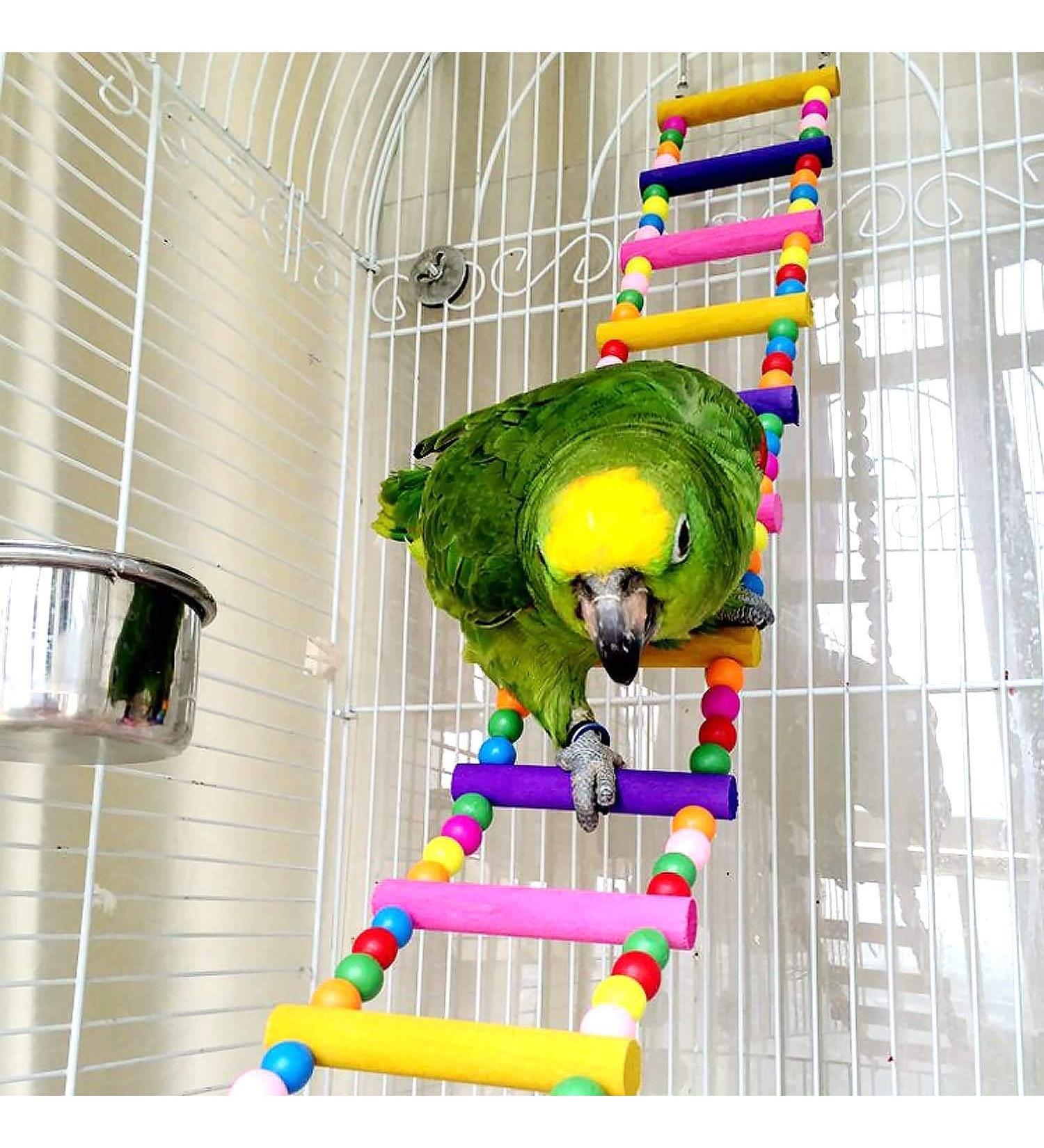 Wonninek Bird Parrot Toys 10-Step Ladders Swing Chewing Toys Hanging Pet Bird Cage Accessories Swing Toy for Small Parakeets Cockatiels Lovebirds Conures Macaws - Buy Online on GoSupps.com