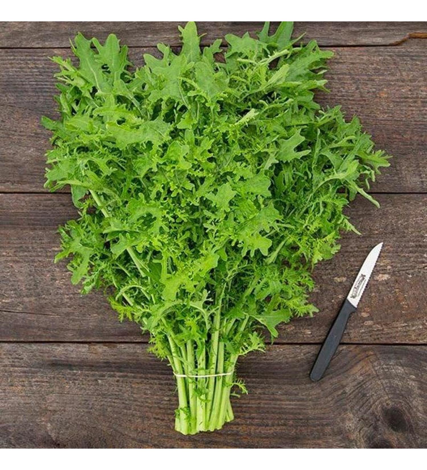 Mustard tendergreen Seeds - 100+ Premium Quality Seeds - Buy Online on GoSupps.com