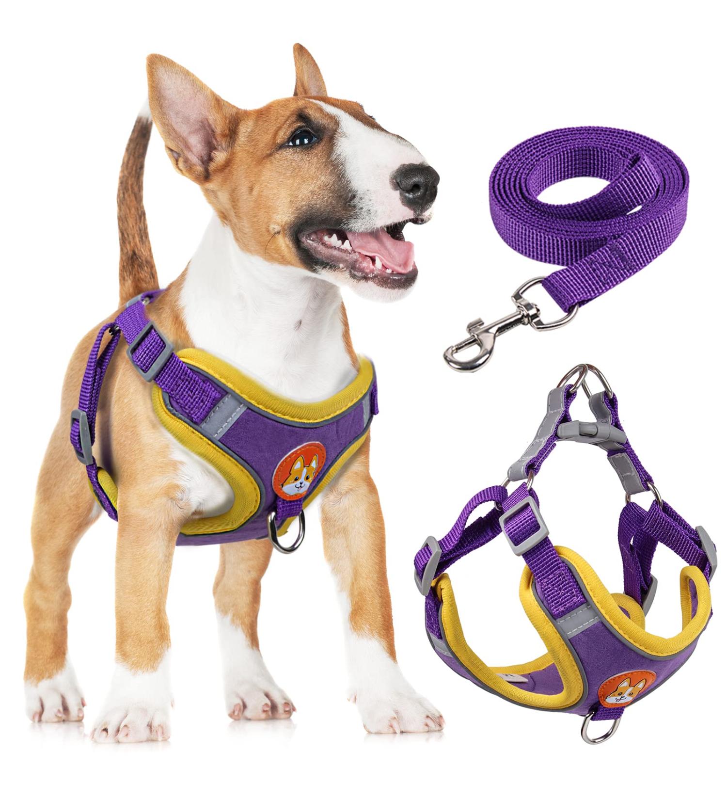 Rennaio No Pull Dog Harness & Leash Set - Adjustable Puppy Harness with 2 Linen Clips for Small & Medium Dogs - Ultra Comfortable - Purple XL - Buy Online on GoSupps.com