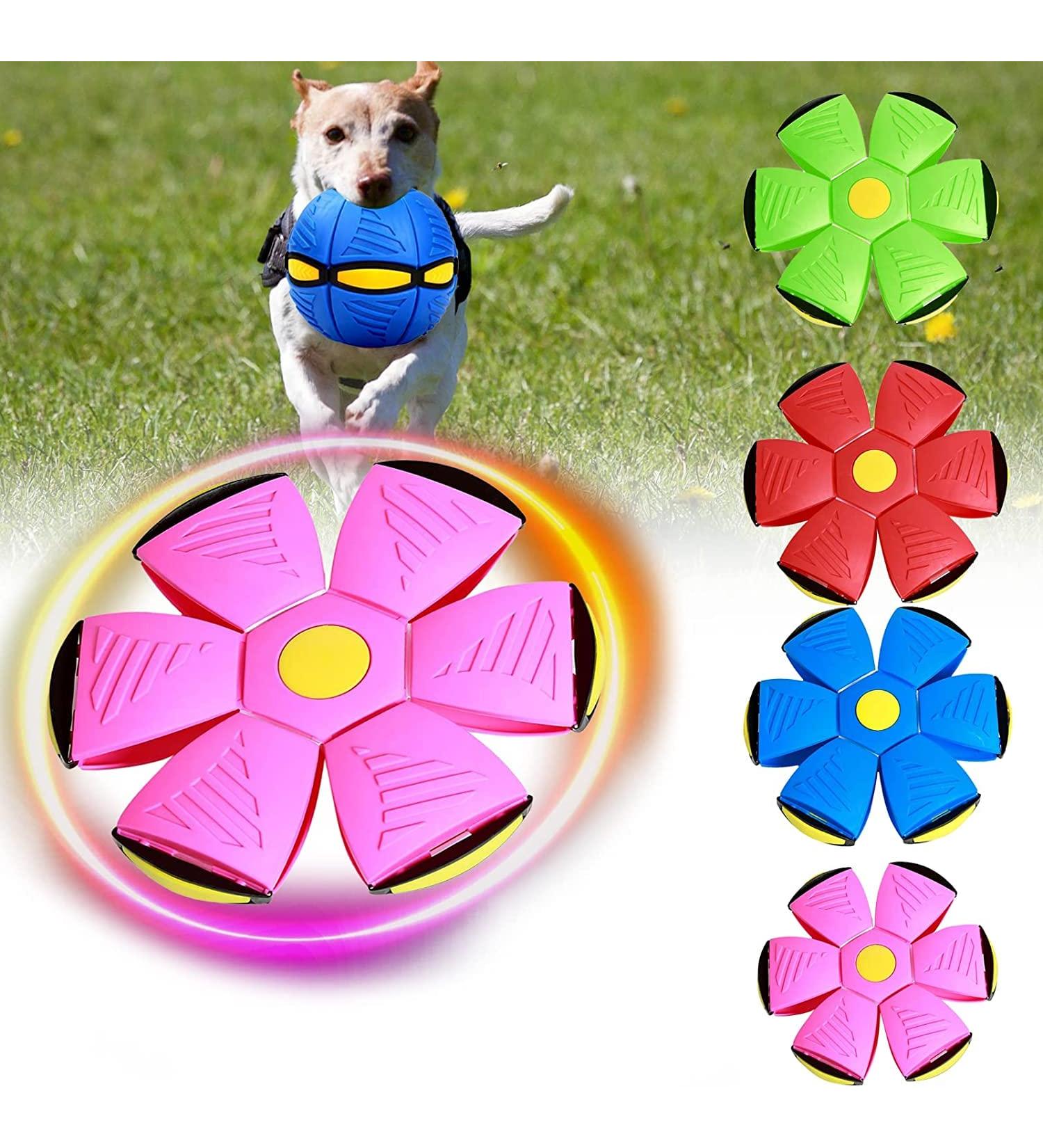 Yeahboom UFO Magical Flying Saucer Ball | Frisbee Dog Toy for Outdoor Fun | Violet Dog Frisbees | International Shipping Available - Buy Online on GoSupps.com
