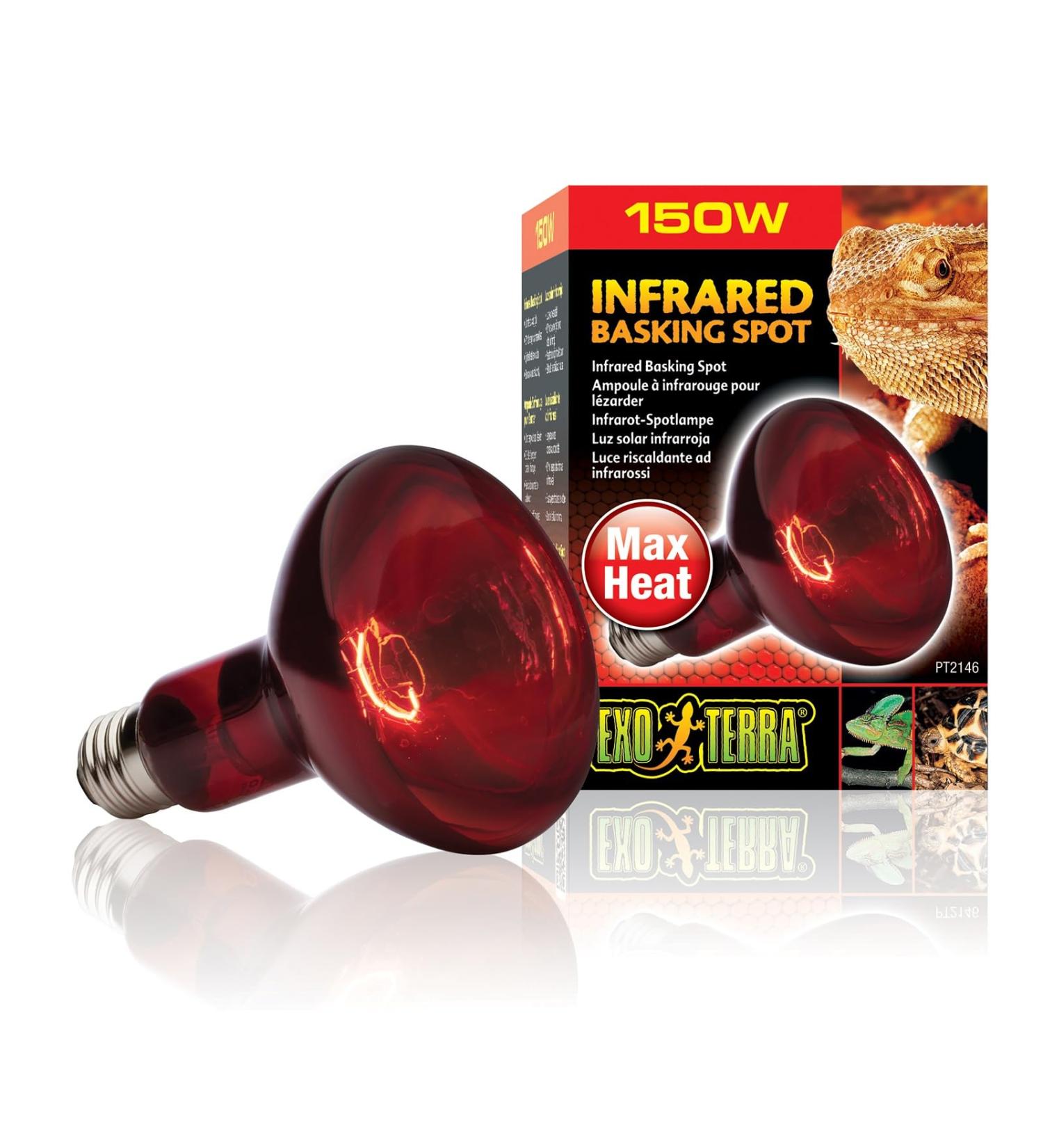 Exo Terra Infrared Basking Spot Lamp 150W R30 E27 Heat Spot for Reptiles | International Shipping Available - Buy Online on GoSupps.com