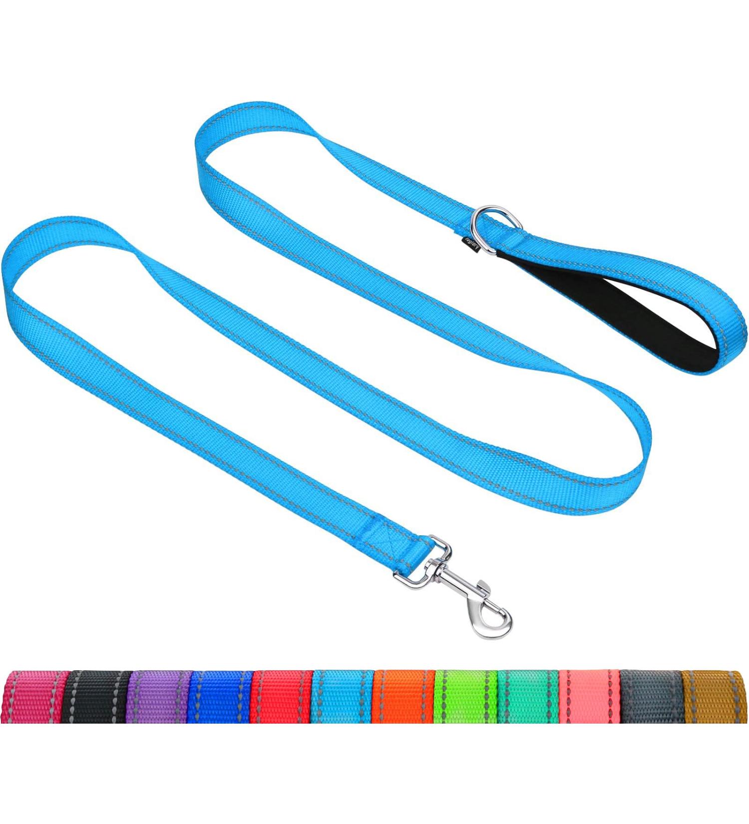 Taglory Reflective Dog Leash for Medium & Large Dogs - Padded Handle Supports 10-75kg 1.2m x 2.5cm Himmel Blue - Perfect for International Shipping - Buy Online on GoSupps.com