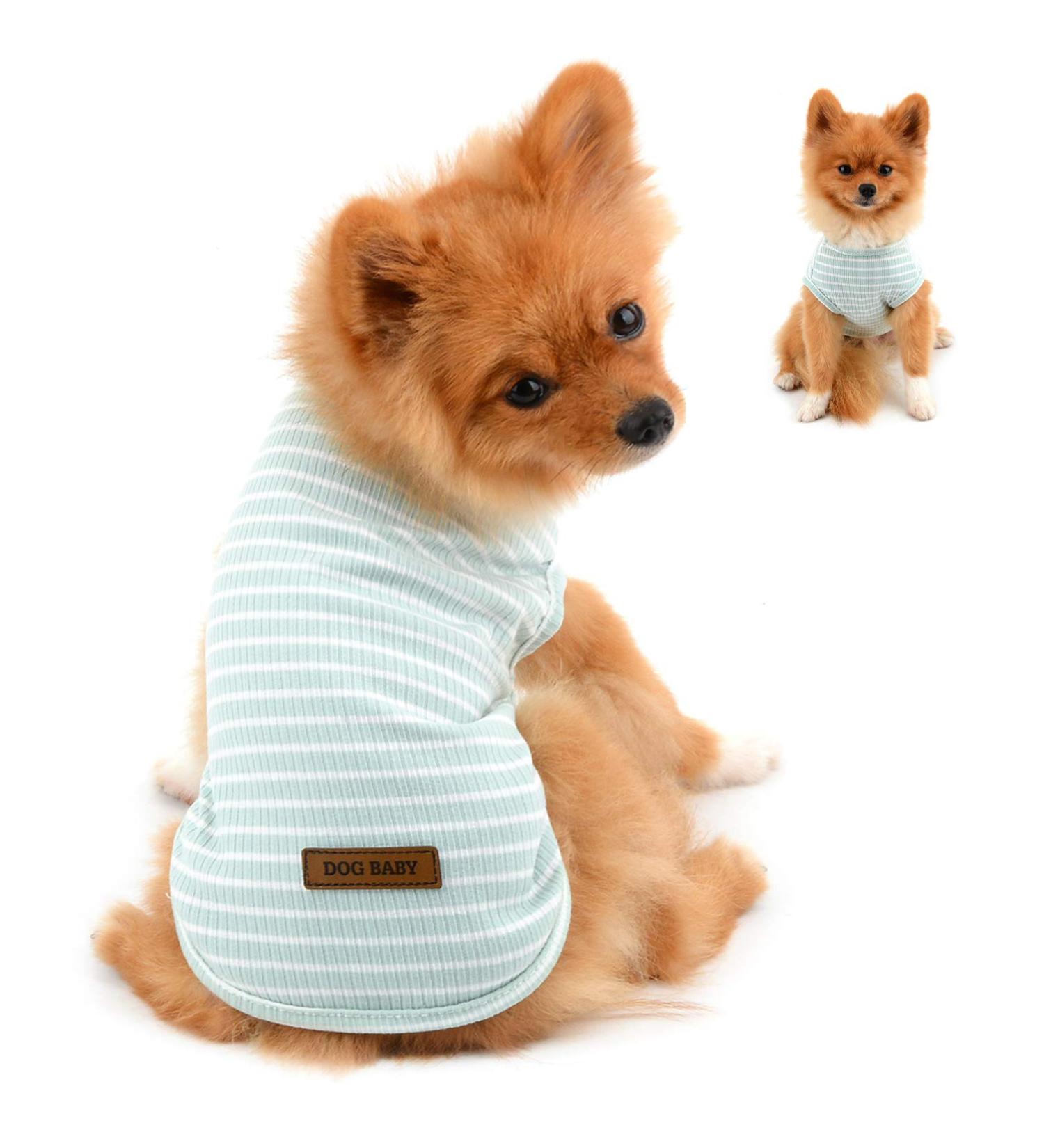 Paidful Summer Striped T-Shirt for Small Dogs - 100% Cotton Sleeveless Chihuahua & Yorkshire Tee - Green - M (Back Length: 25cm Bust: 37cm) - International Shipping Available - Buy Online on GoSupps.com