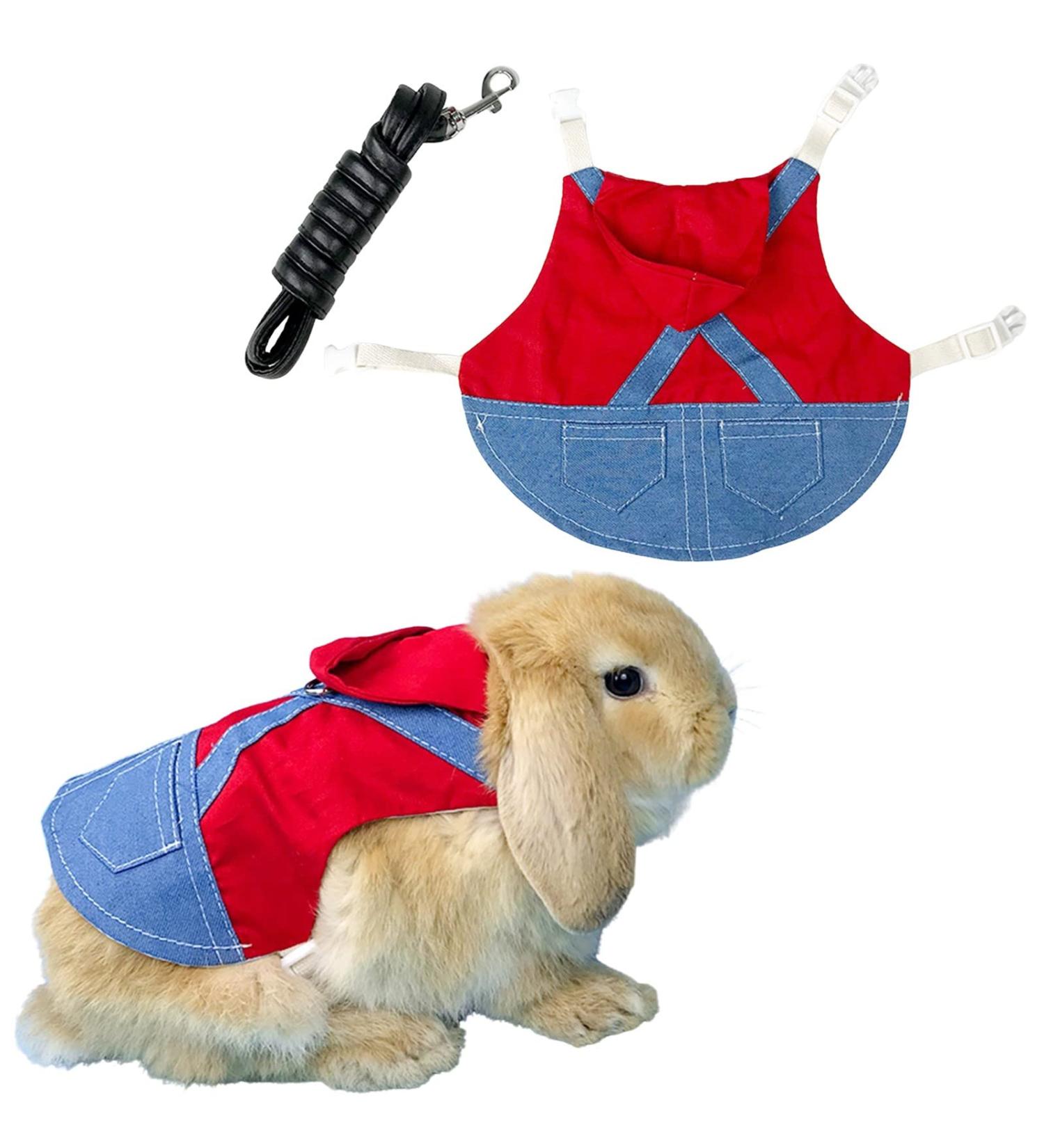 Adjustable Soft Rabbit Dishes & Leash Set for Small Pets | Perfect for Rabbits Cats & Guinea Pigs - Red (L) - Buy Online on GoSupps.com