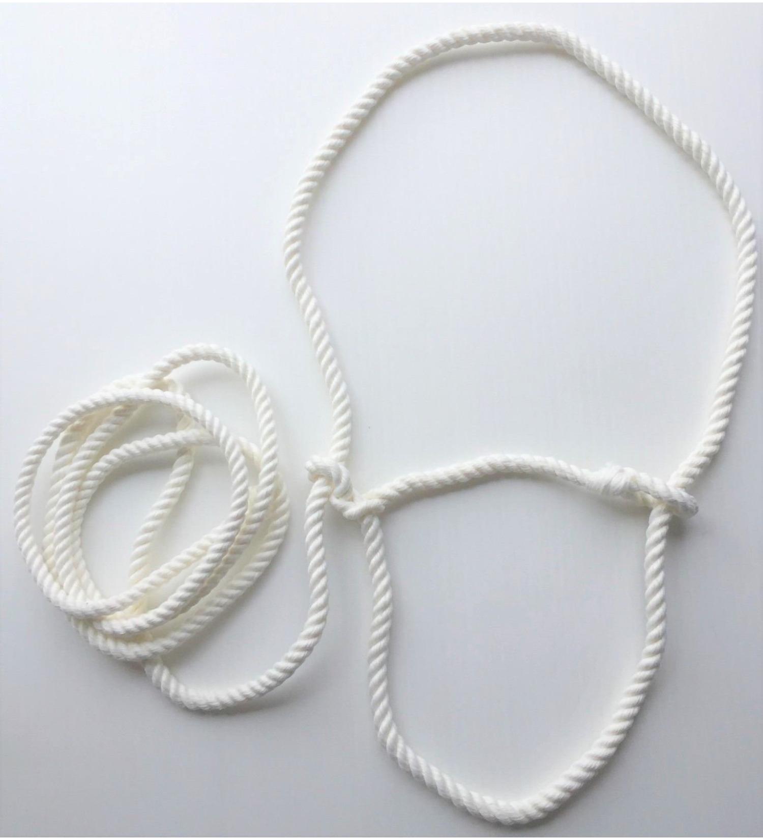 The Ragnar Collection Small White Rope Halter Sheep.Llama Section A/Shetland Calf Etc.