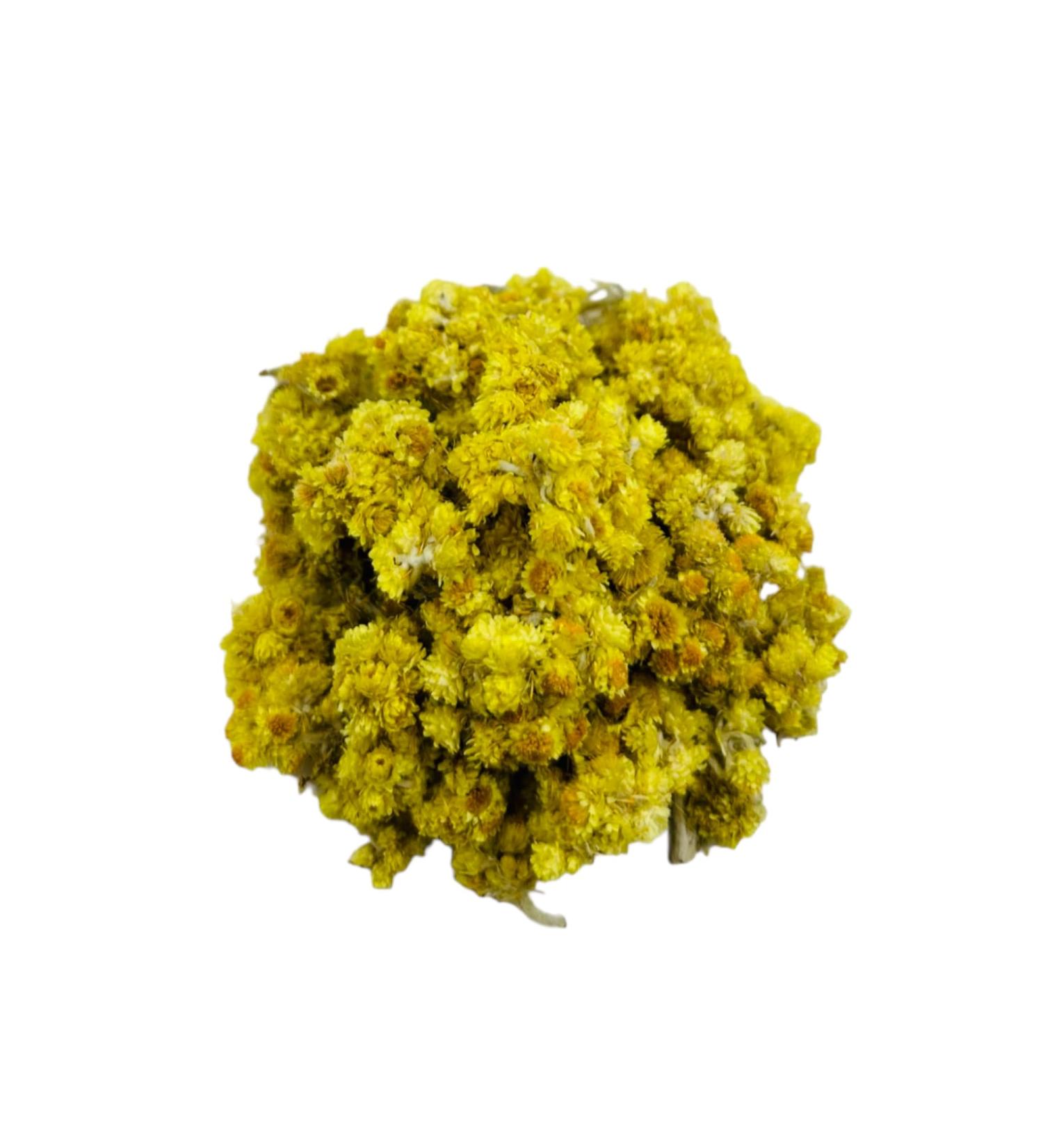 AgoraMarket Dried Helichrysum Immortelle Eternal Flowers 85g 195Kg 1950 grams - Buy Online on GoSupps.com