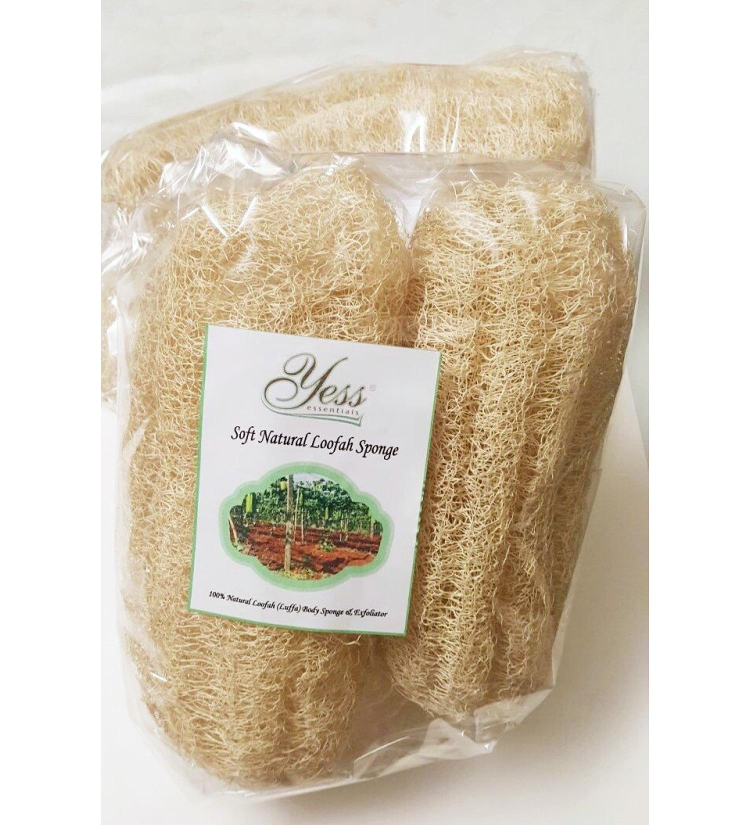 Yess Essentials Soft Natural Loofah Sponge (Pack of 2 Small Standard Sizes)