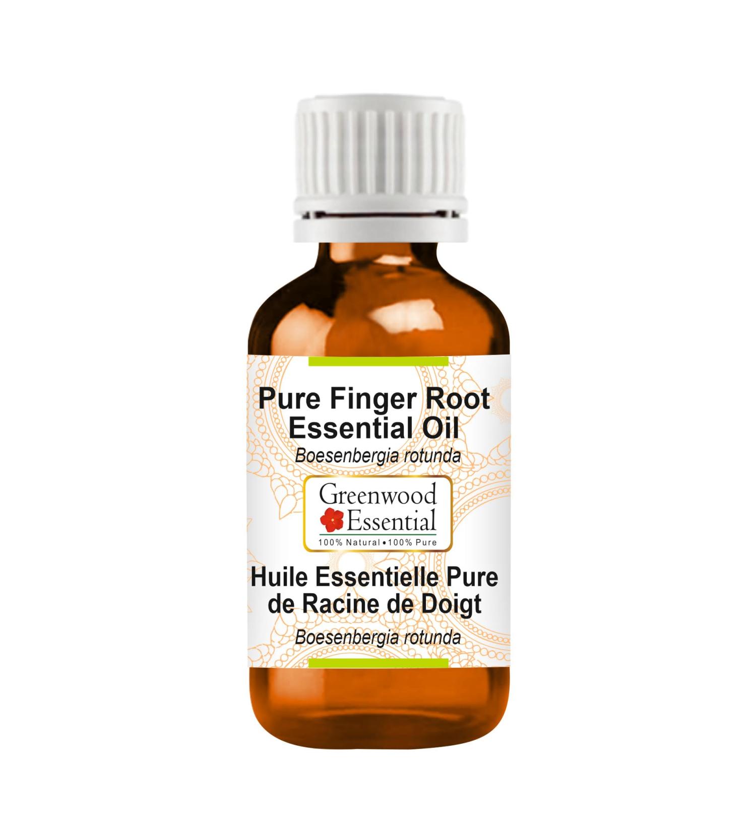 Greenwood Essential Pure Finger Root Essential Oil (Boesenbergia rotunda) Steam Distilled 5ml (0.16 oz) Natural 0.16 Fl Oz (Pack of 1) - Buy Online on GoSupps.com