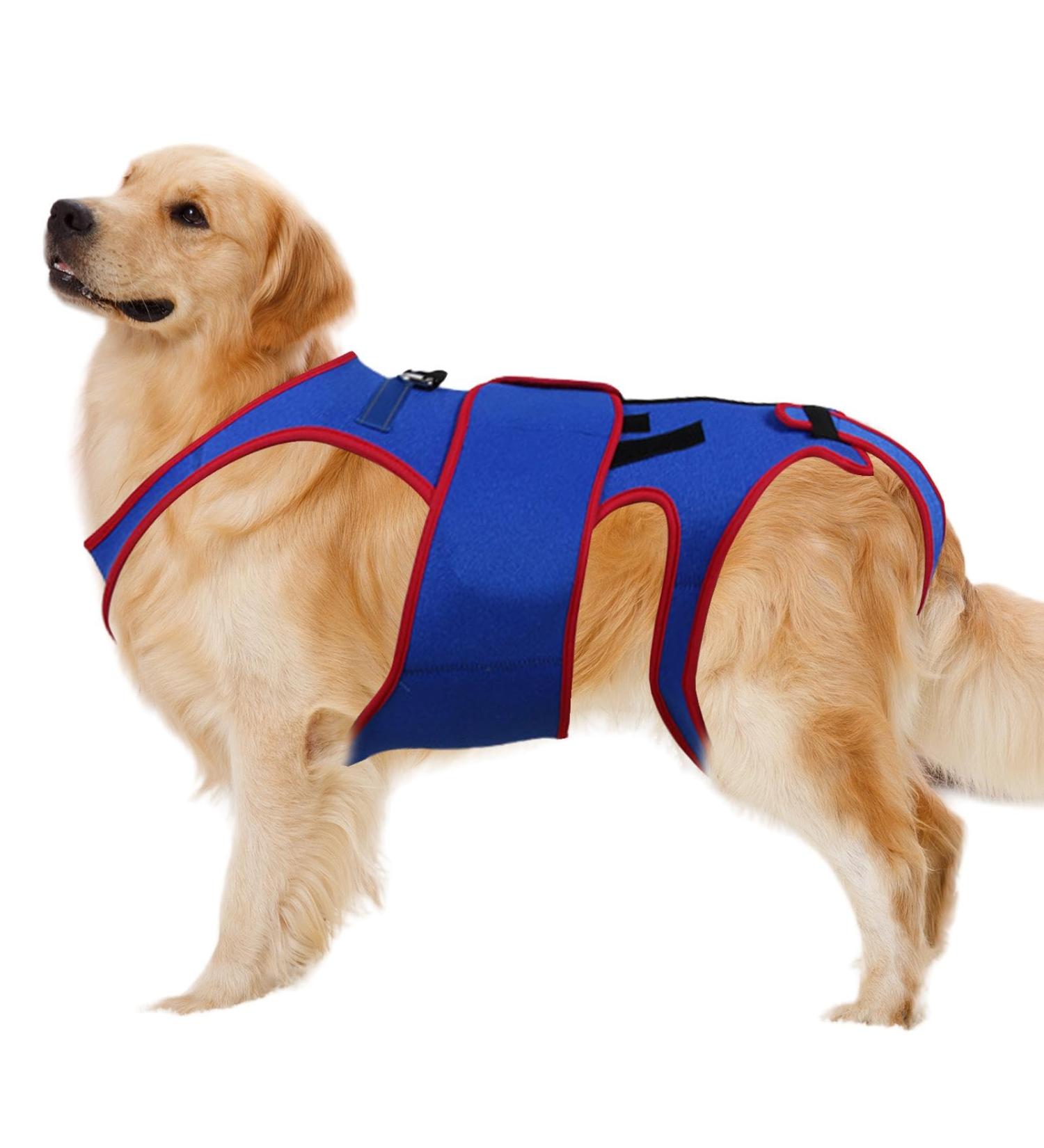 Hip Brace for Dogs | Pet Back Bracer for IVDD D-Ring and Reflective Strips Pet Back Bracer for IVDD Dogs Back Prevention Helps Hurt Relief Xl - Buy Online on GoSupps.com