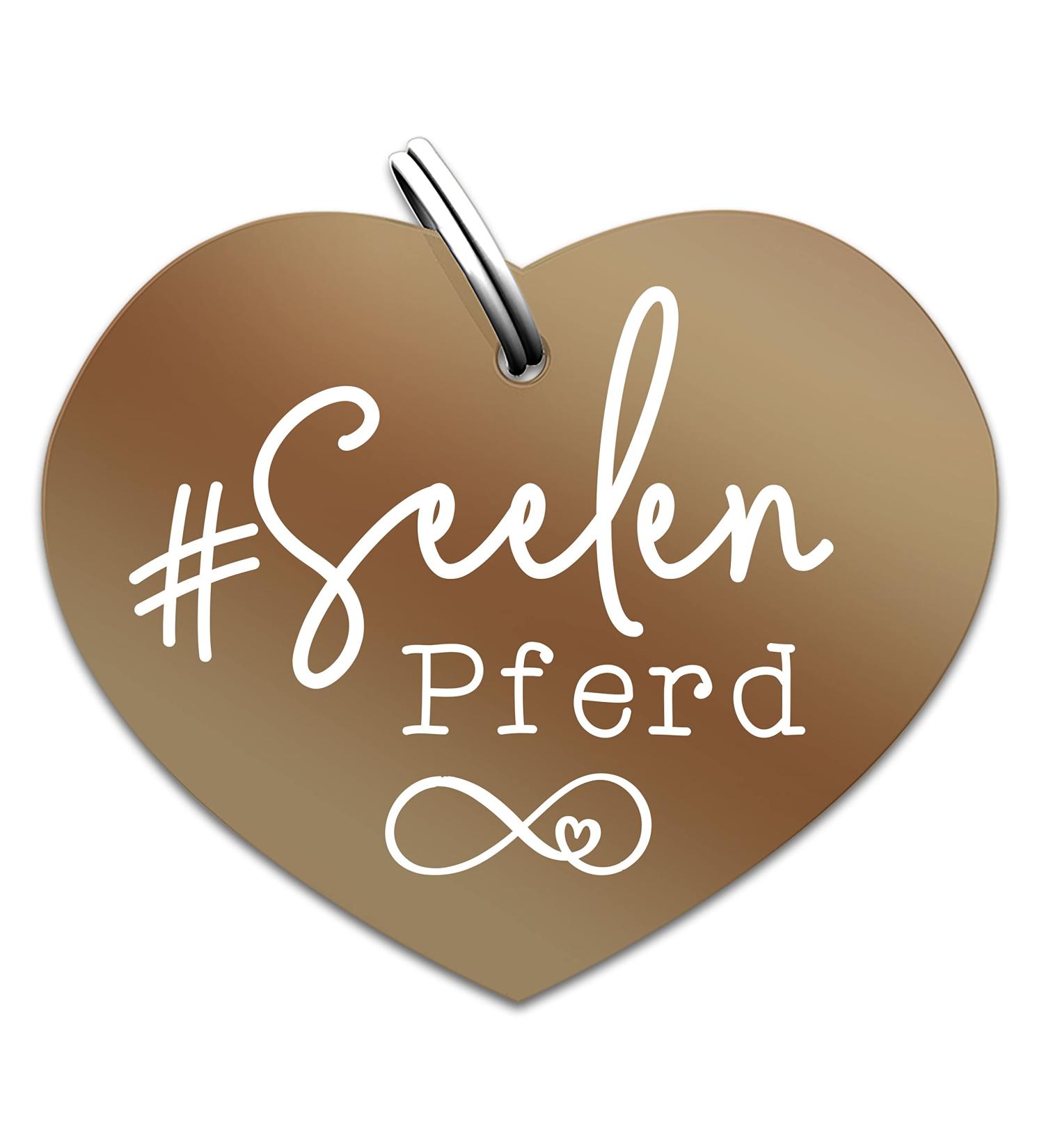 Soulhorse Guardian Angel Talisman Bridle Front Stuff | Bronze Key Trailer for Animals & Humans - Buy Online on GoSupps.com