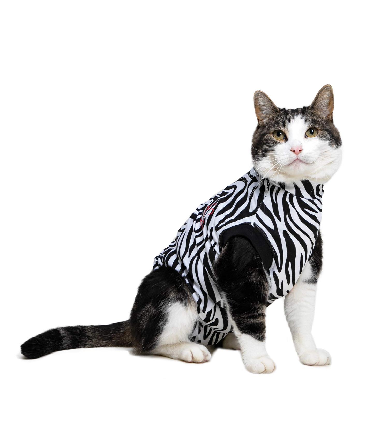 MPS Medical Pet Shirt for Cats - Stylish Zebra Print XXS Size Ideal for Post-Surgery Recovery International Shipping Available - Buy Online on GoSupps.com
