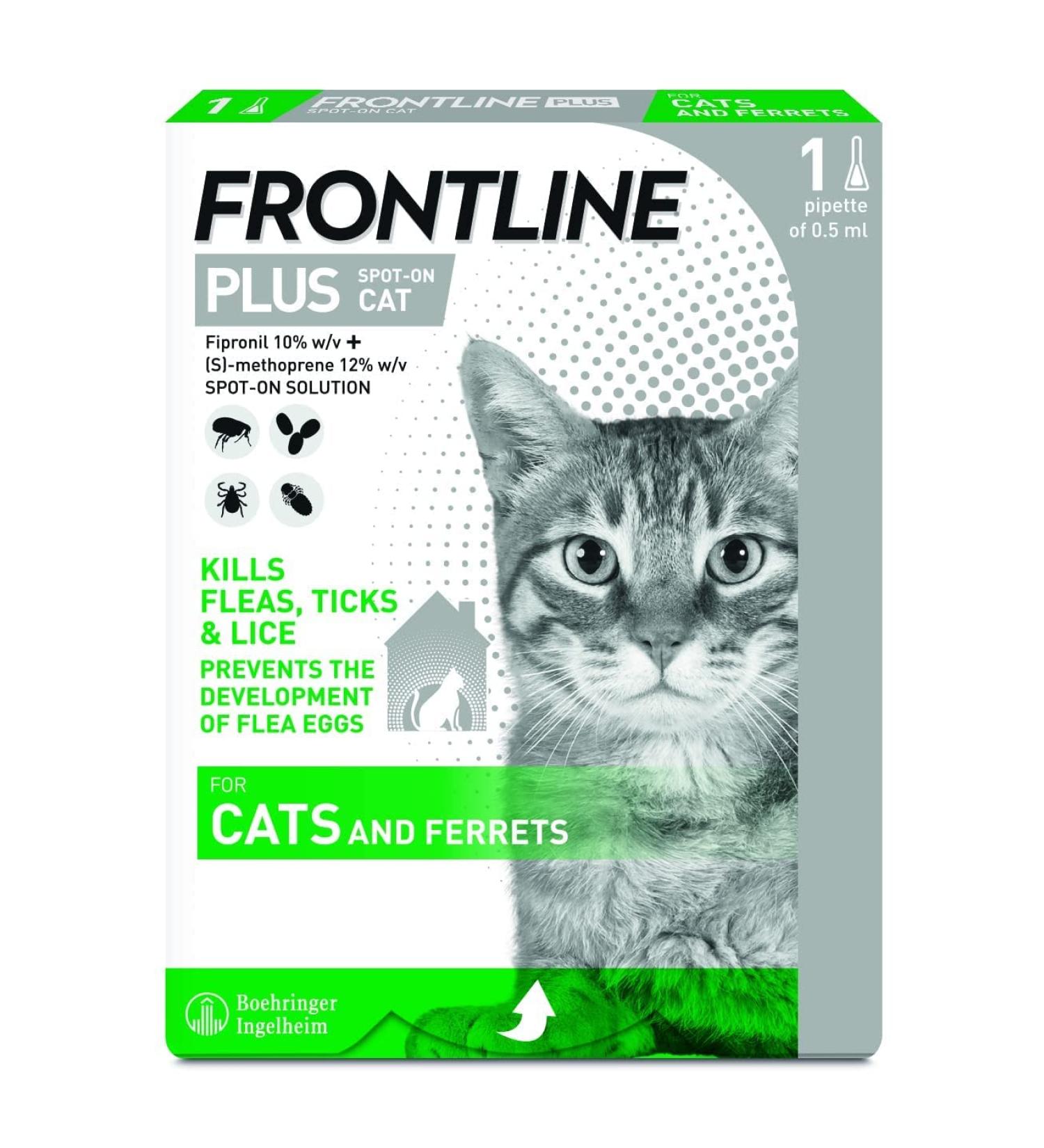 FRONTLINE Plus for Cats & Ferrets - 1 Pipette Flea & Tick Treatment (8 Weeks+) | Cat & Ferret Flea Treatment - Buy Online on GoSupps.com