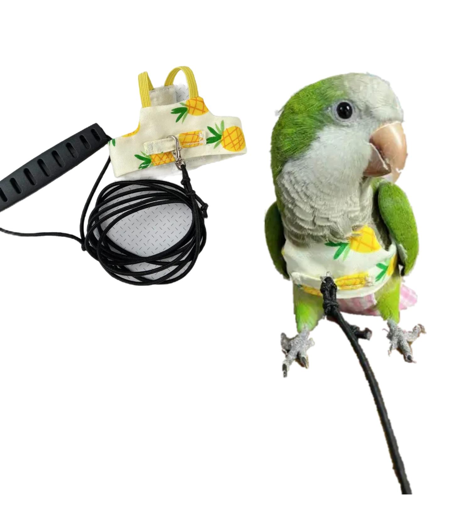 YANQIN Bird Flight Harness Vest: Medium Yellow Parrot Flight Suit with Leash for Outdoor Training & Activities - Buy Online on GoSupps.com