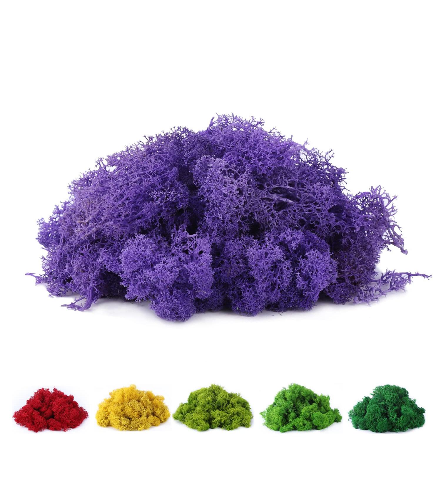 Preserved Reindeer Moss 3.5oz - Purple | Ideal for Potted Plants, Crafts, Terrariums & Decor - Buy Online on GoSupps.com