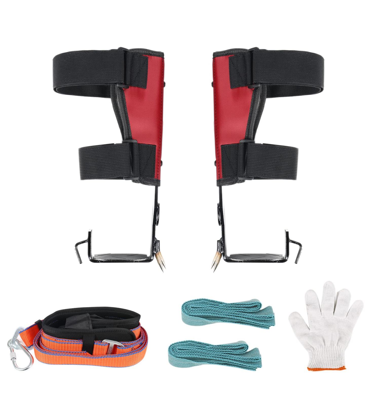 Tree Climbing Equipment - Safety Belts Stainless Steel Spikes & Tools for Camping & Harvesting - Buy Online on GoSupps.com