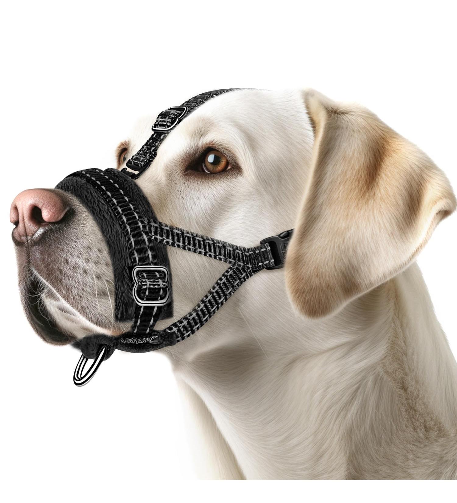 Adjustable Reflective Nylon Muzzle for Large Dogs - Prevent Biting Barking & Chewing | Eyin Muzzle (Black L) - Buy Online on GoSupps.com