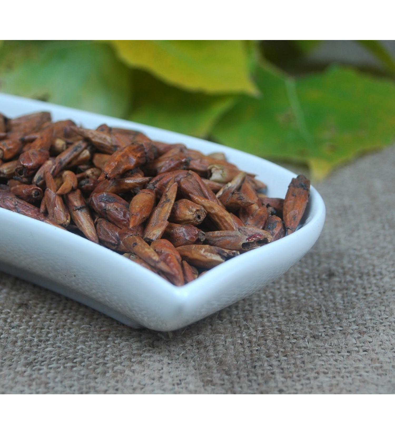 Naturix24 White Poplar Buds 500g