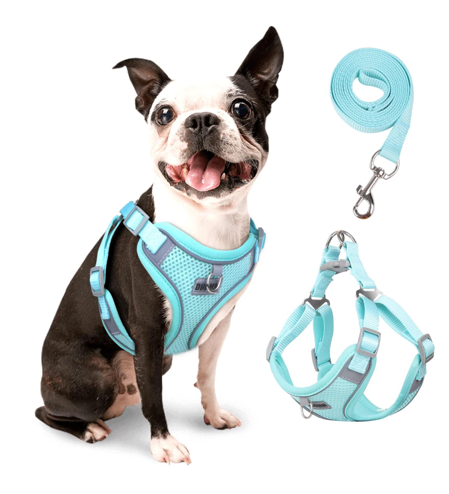 Rennaio No Pull Dog Harness & Leash Set - Adjustable Ultra Breathable Padded Chest Harness with Puppy Dishes & Clips for Small/Medium Dogs - Cyan M - Buy Online on GoSupps.com
