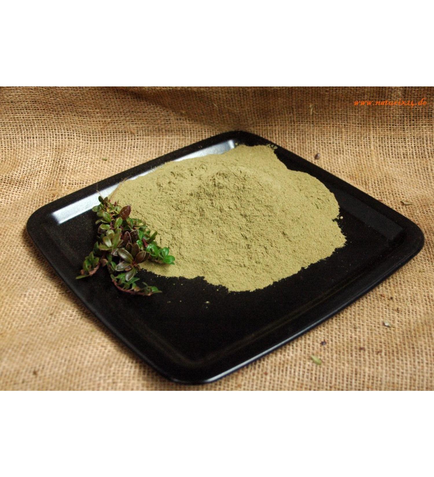 Naturix24 Naturix24 Ground Bear Leaf Powder - 250g Sachet