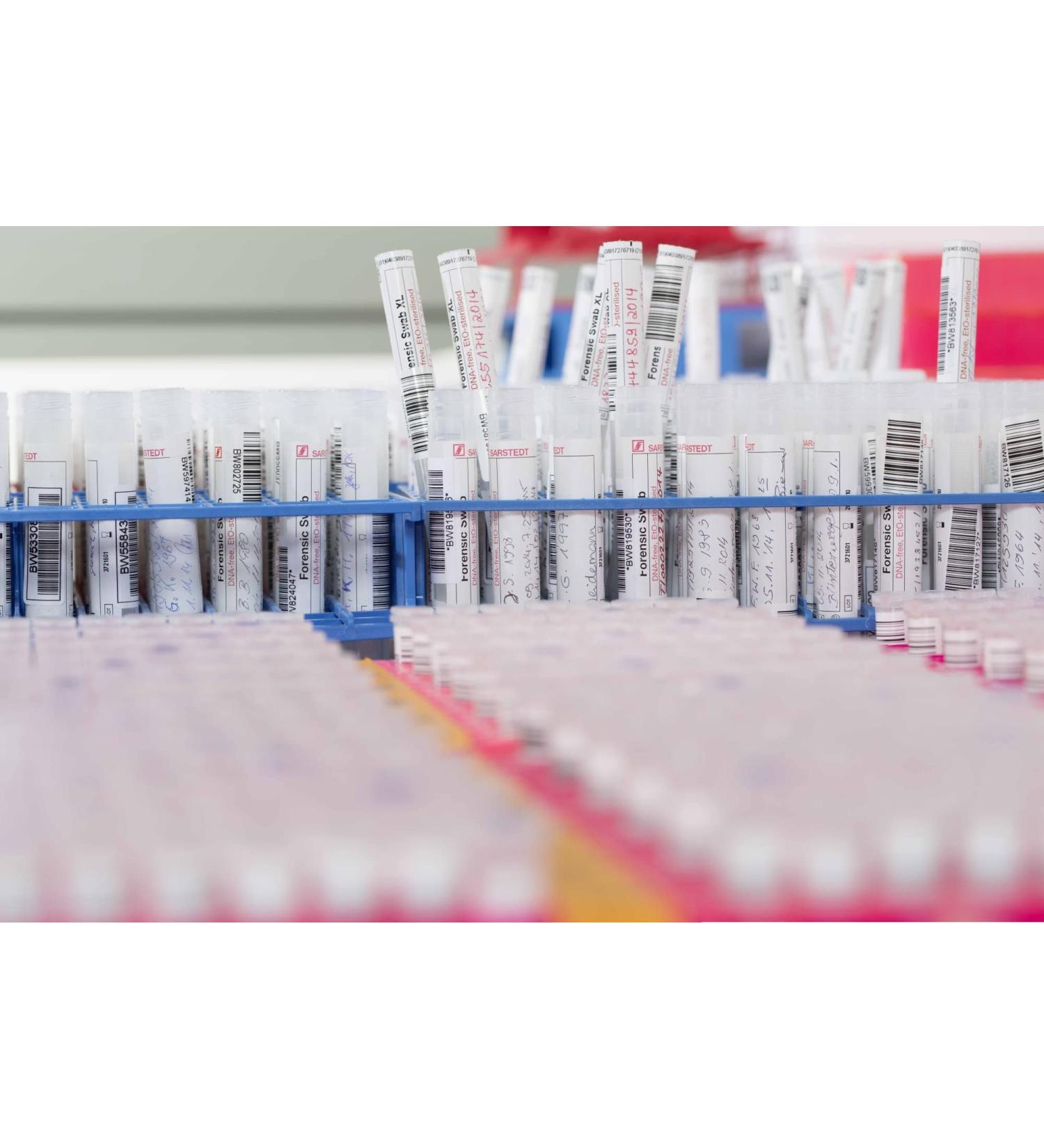 Paternity Test Duo for Father & Child - Accurate & Confidential DNA Testing - International Shipping Available - Buy Online on GoSupps.com