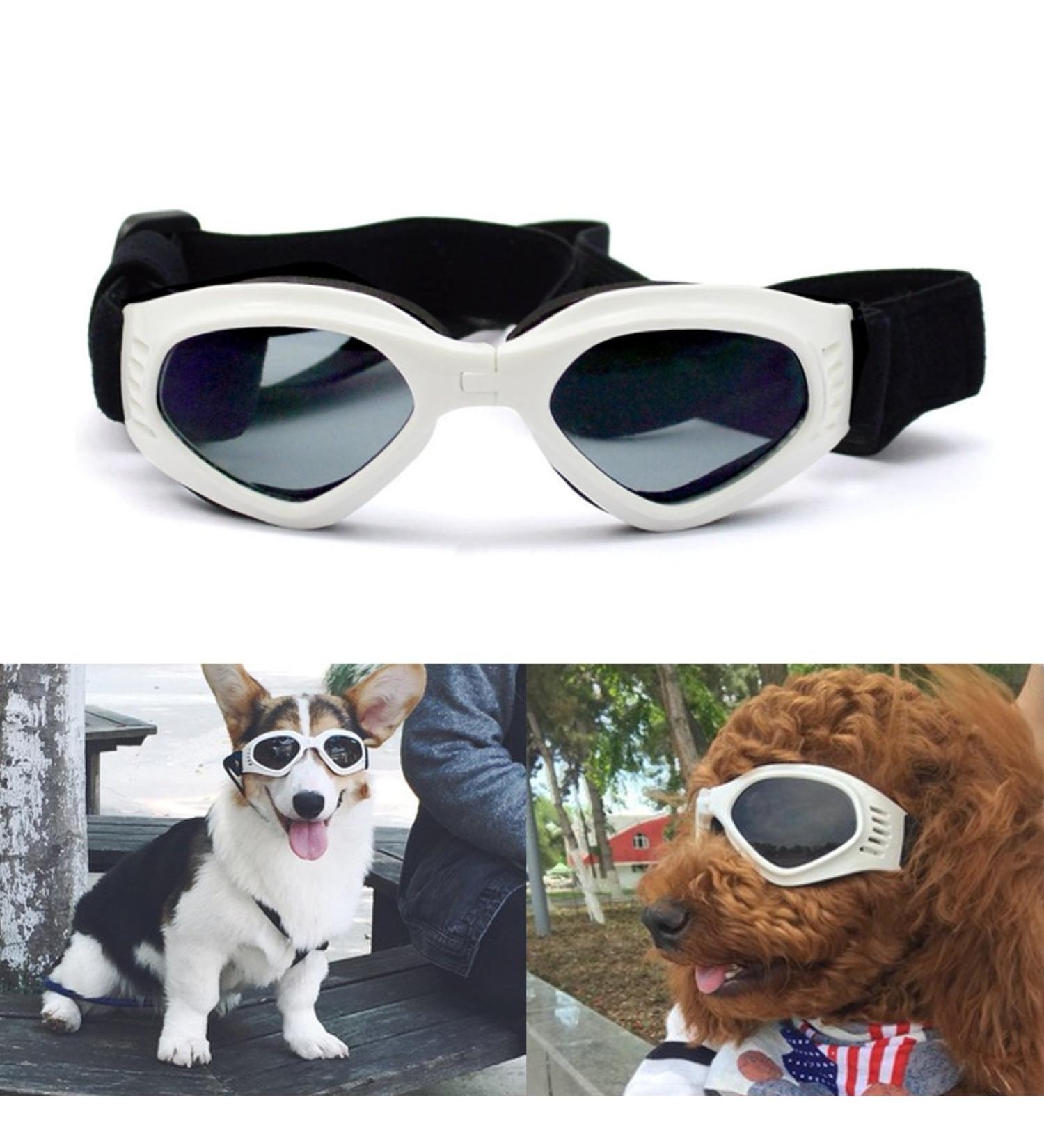 Namsan Stylish Dog Sunglasses - UV Protection Goggles for Puppies | Waterproof Sun Glasses - White - Buy Online on GoSupps.com