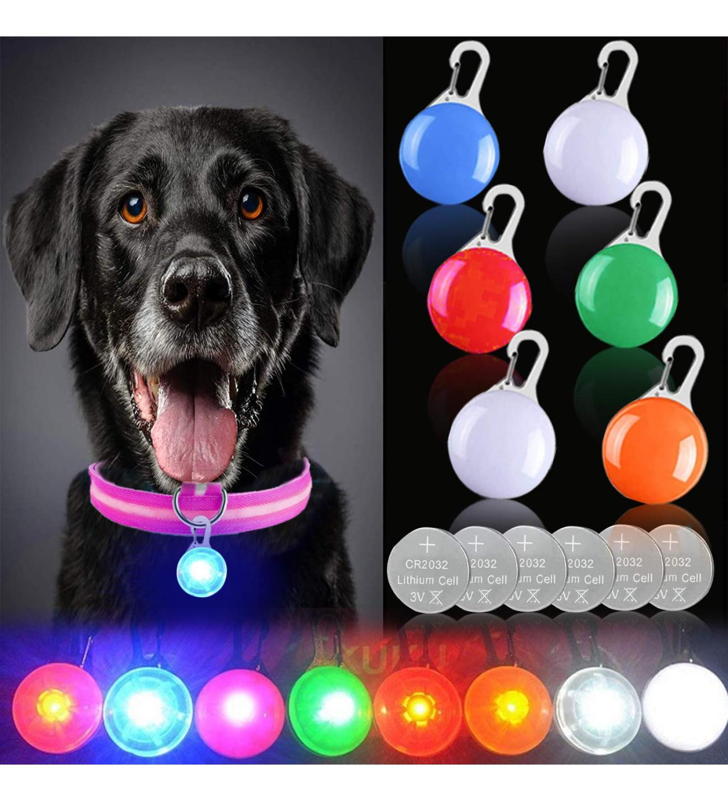 YMCCOOL LED Dog Collar Light Clip-On Pet 6 Pack Dog Lights for Collars Keychain Light with 6 Extra Replacement Batteries - Waterproof Safety Flashlight of Dogs and Cats Gifts for Pets Colorful 6 - Buy Online on GoSupps.com