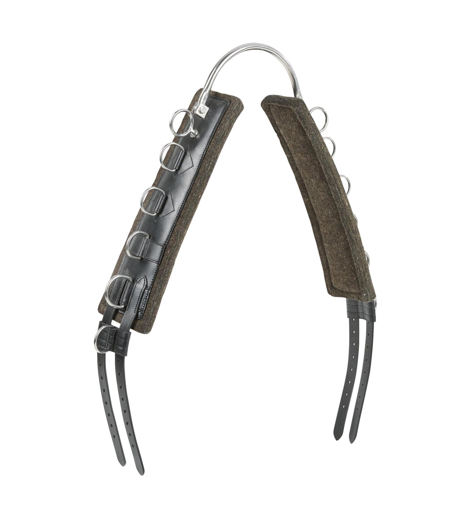 Busse lunging belt flex fit WB black