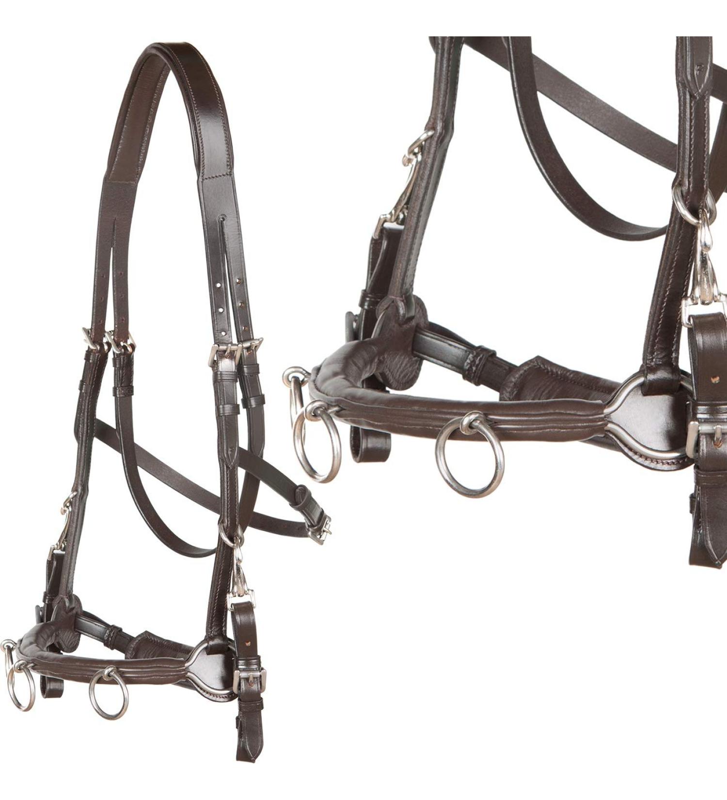 Heinick-Reitsport French Professional Leather Caveson | Brown Cavecon Cavesson for Thoroughbred & Cob | International Shipping Available - Buy Online on GoSupps.com