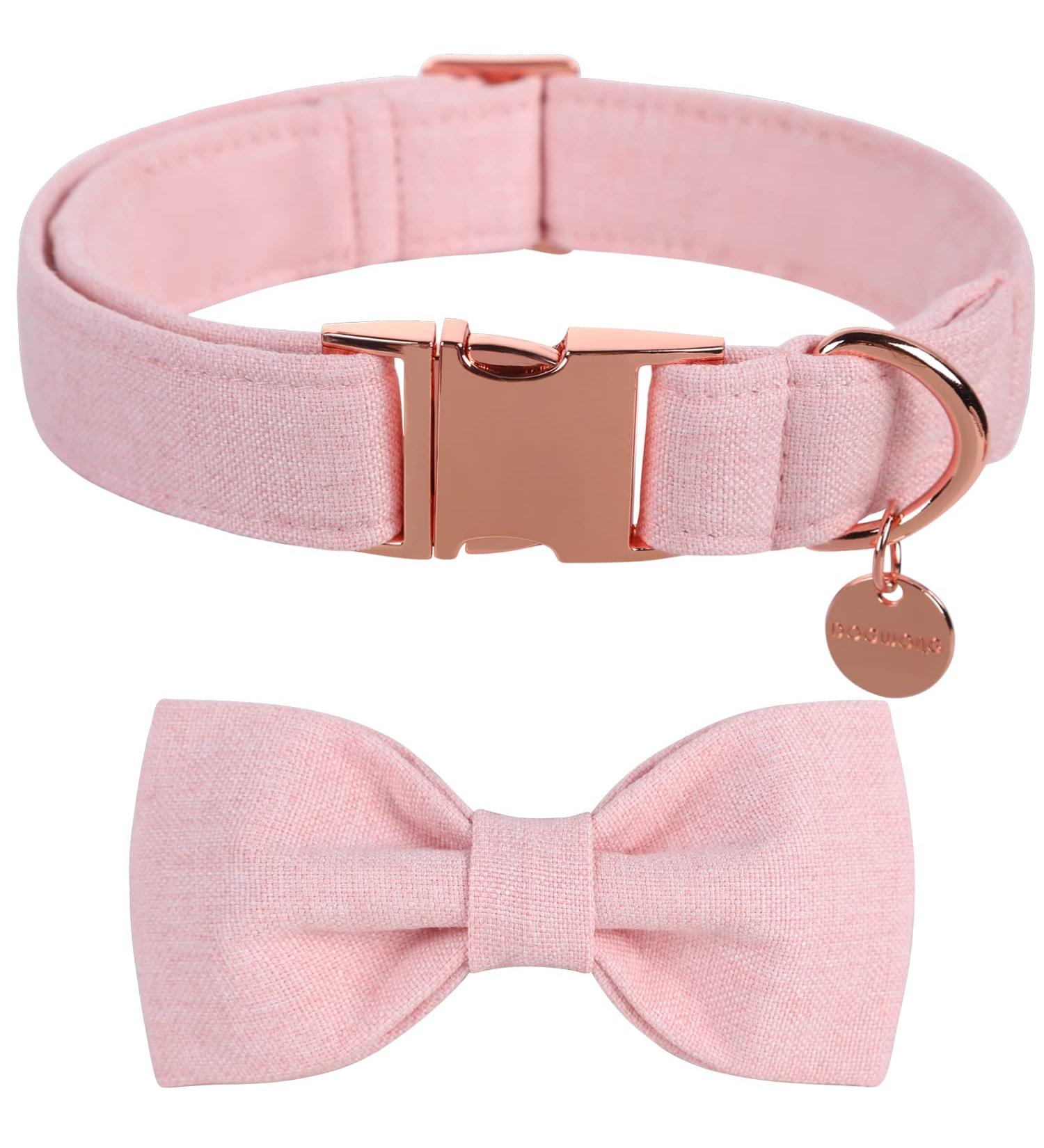 Dogwong Adjustable Black Dog Collar with Removable Fly - Comfortable Collar for Small to X-Large Dogs | Perfect Gift for Girls - Pack of 1 - Hell-Pink - Buy Online on GoSupps.com