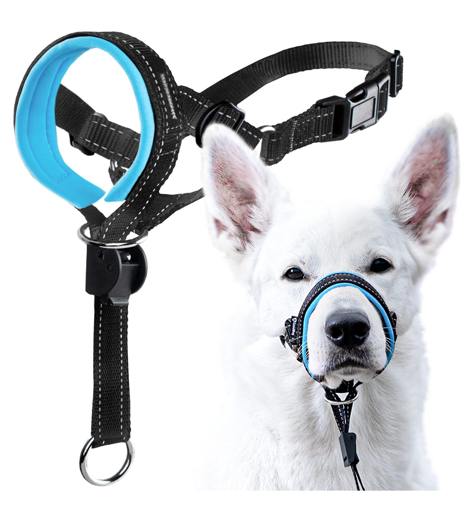 Goodboy Dog Halter - Stop Heavy Pulling Padded Leash for All Sizes - Includes Training Instructions - Size 2 Black Nylon Blue Push - Buy Online on GoSupps.com