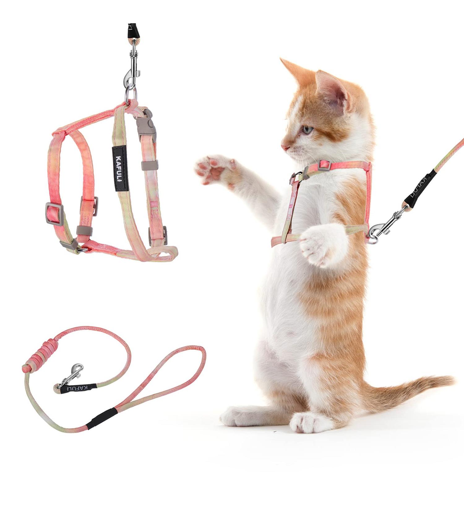 Adjustable Tiesome Cat Dishes with Leash & Collar Set - Color Gradient Kitten Dishes for Outdoor Walks (Orange & Yellow) - Buy Online on GoSupps.com