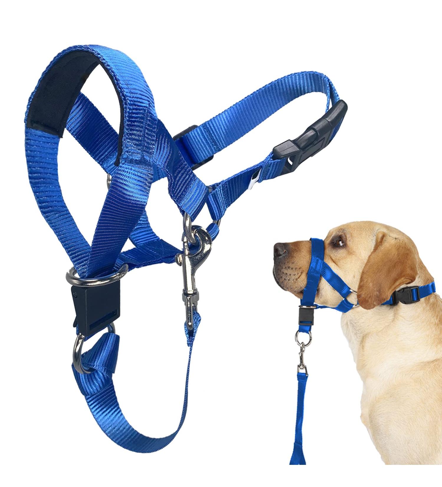 Barkless Dog Collar - No Pull Head Halter for Small & Extra Large Dogs | Padded Muzzle Harness with Training Guide - Prevents Pulling & Choking on Leash - Buy Online on GoSupps.com