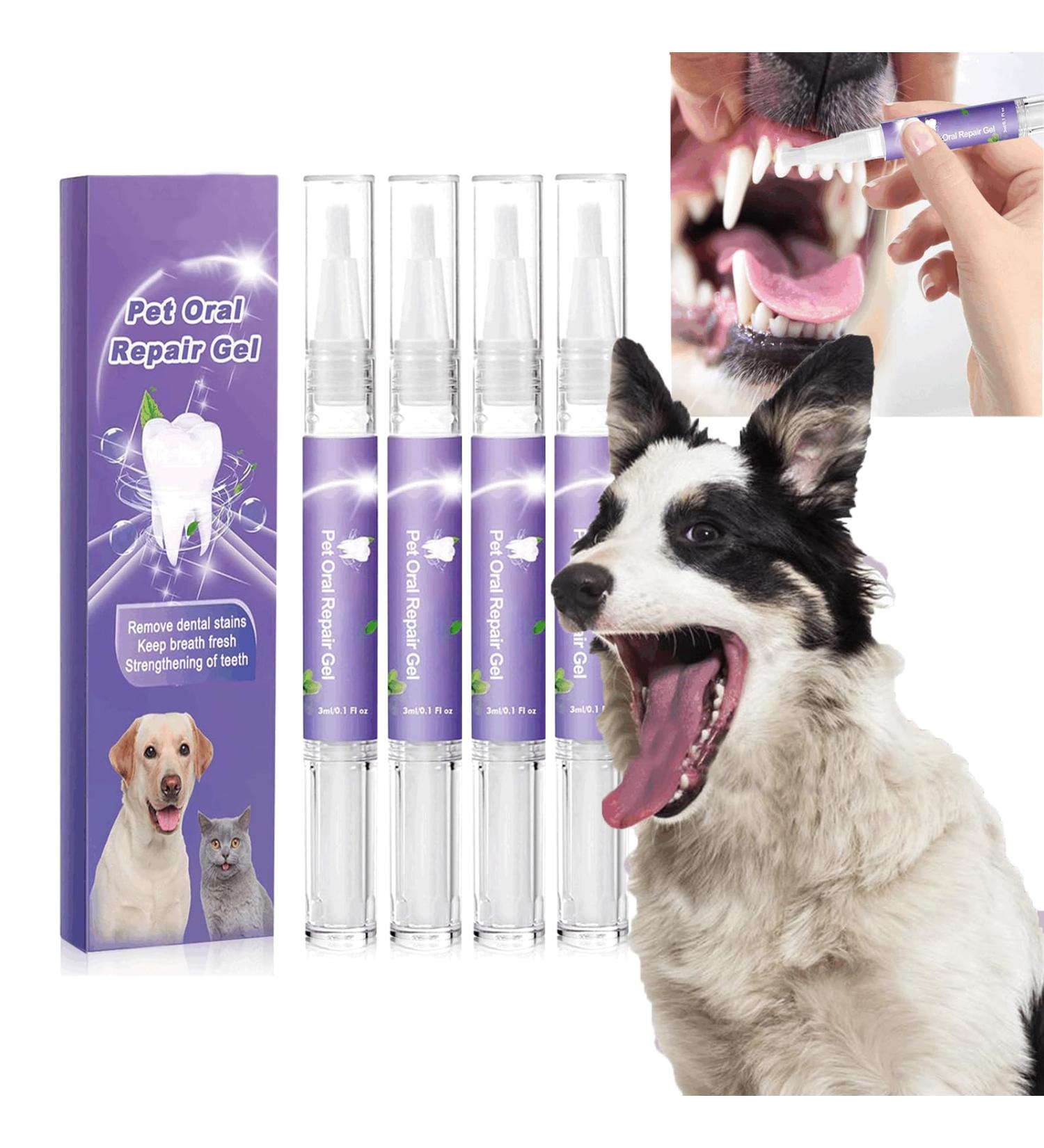 Pet Oral Repair Gel Pet Oral Repair Gel For Dogs Pet Oral Restorative Gel Pet Oral Restoration White Gel Pet Oral Restoration Gel Targets Tartars-Without Brushin (4) - Buy Online on GoSupps.com