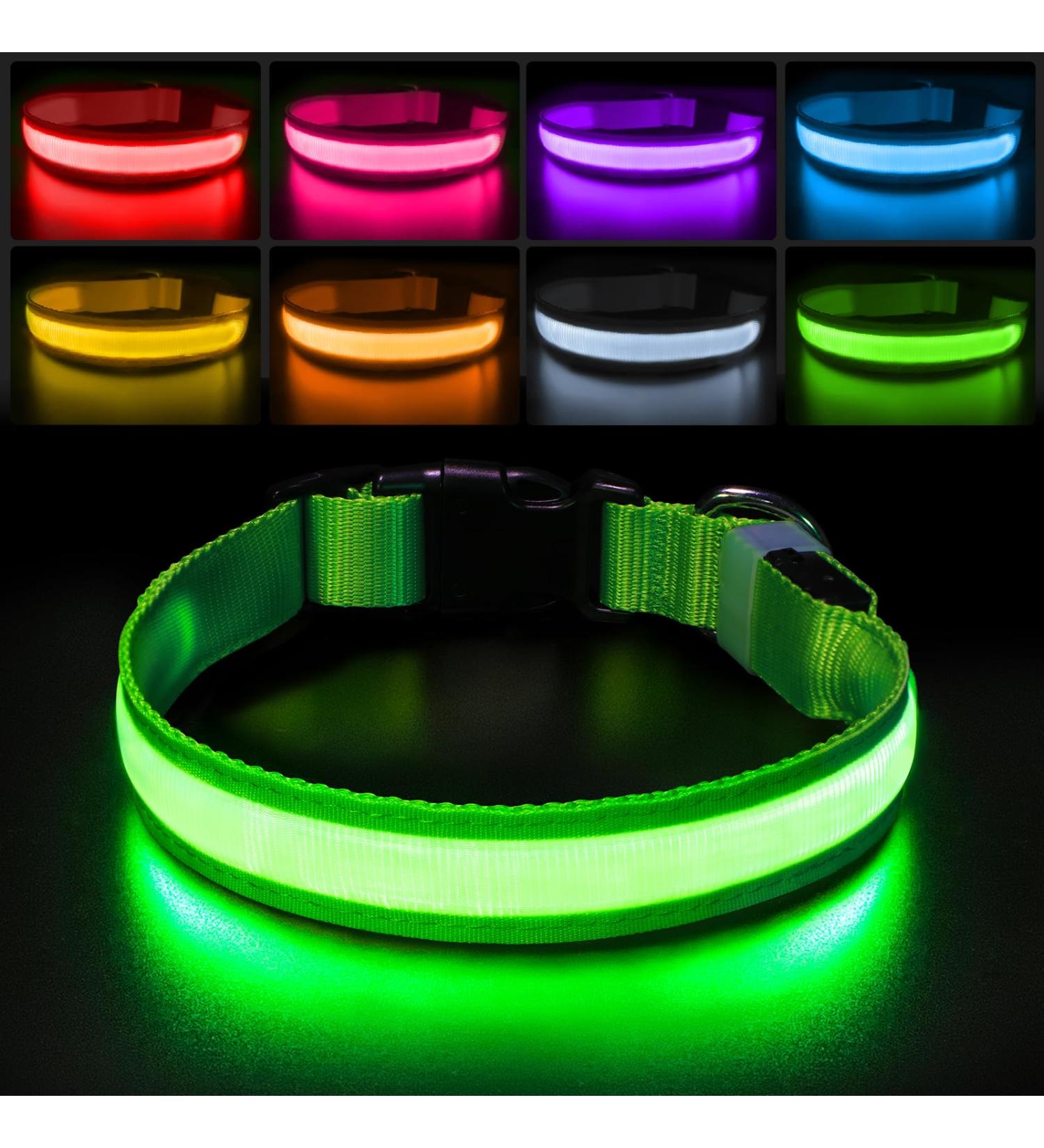 LED Light Up Dog Collar - USB Rechargeable, Waterproof, Adjustable - Green - M(38-50cm/15-19.7inch) - Buy Online on GoSupps.com