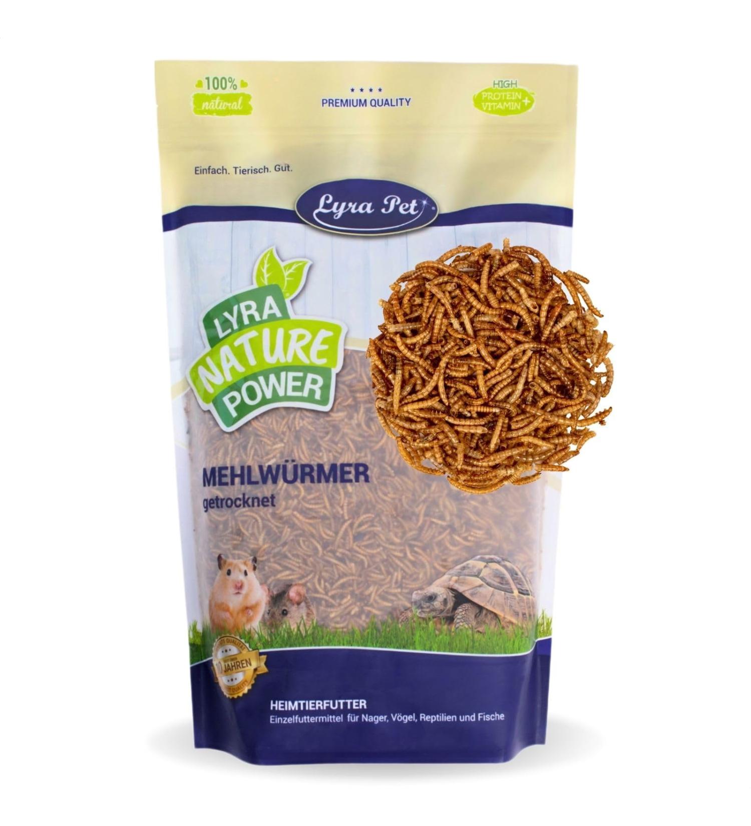 Lyra PET 3 kg Mealworms for Rodents | Gently Dried High-Protein Food for Hamsters Rats & Racing Mice | Rich in Vitamins & Minerals | Natural Energy Dispenser - Buy Online on GoSupps.com