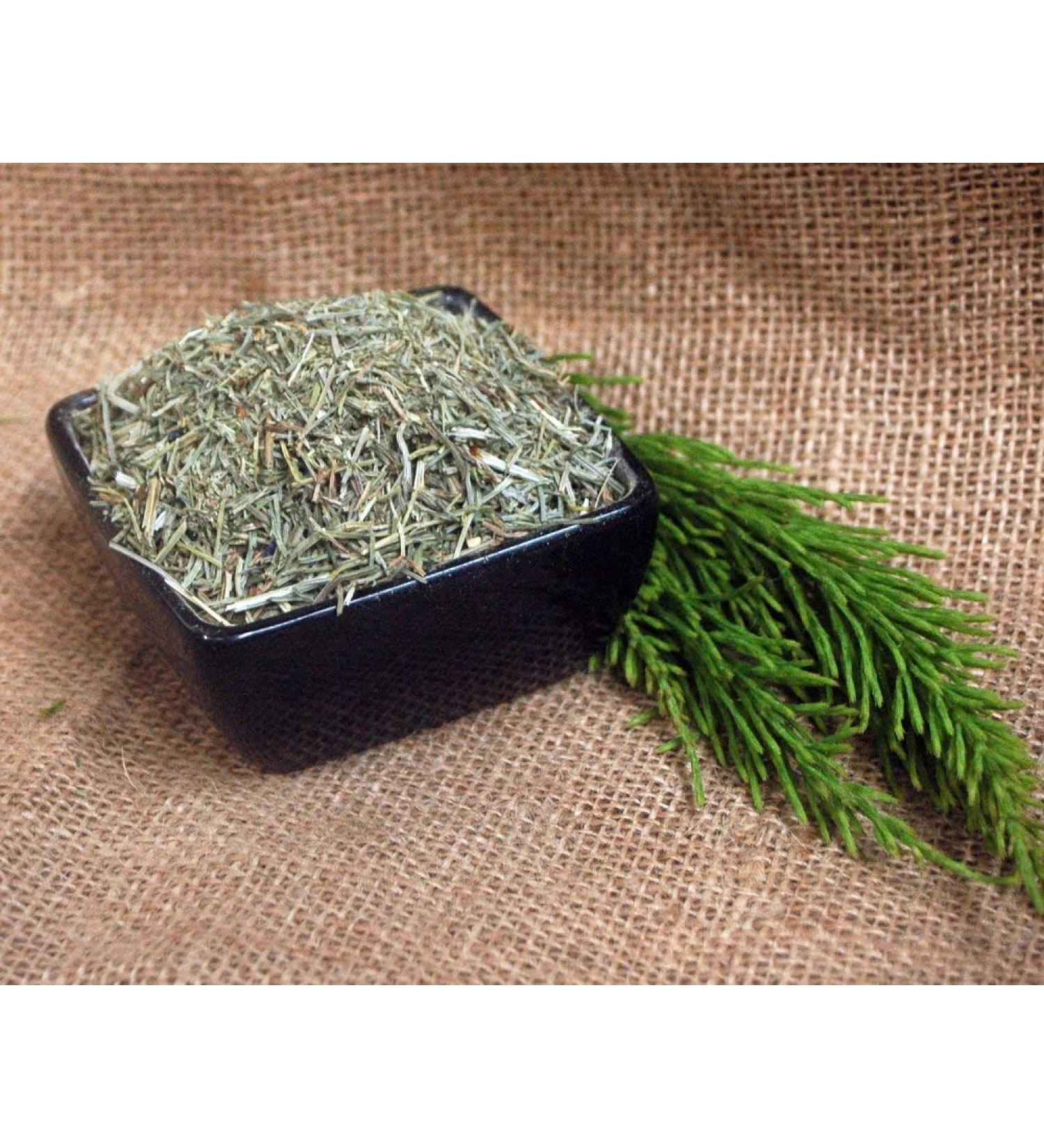 Krauterino24 - Horsetail herb cut quantity: 1000g