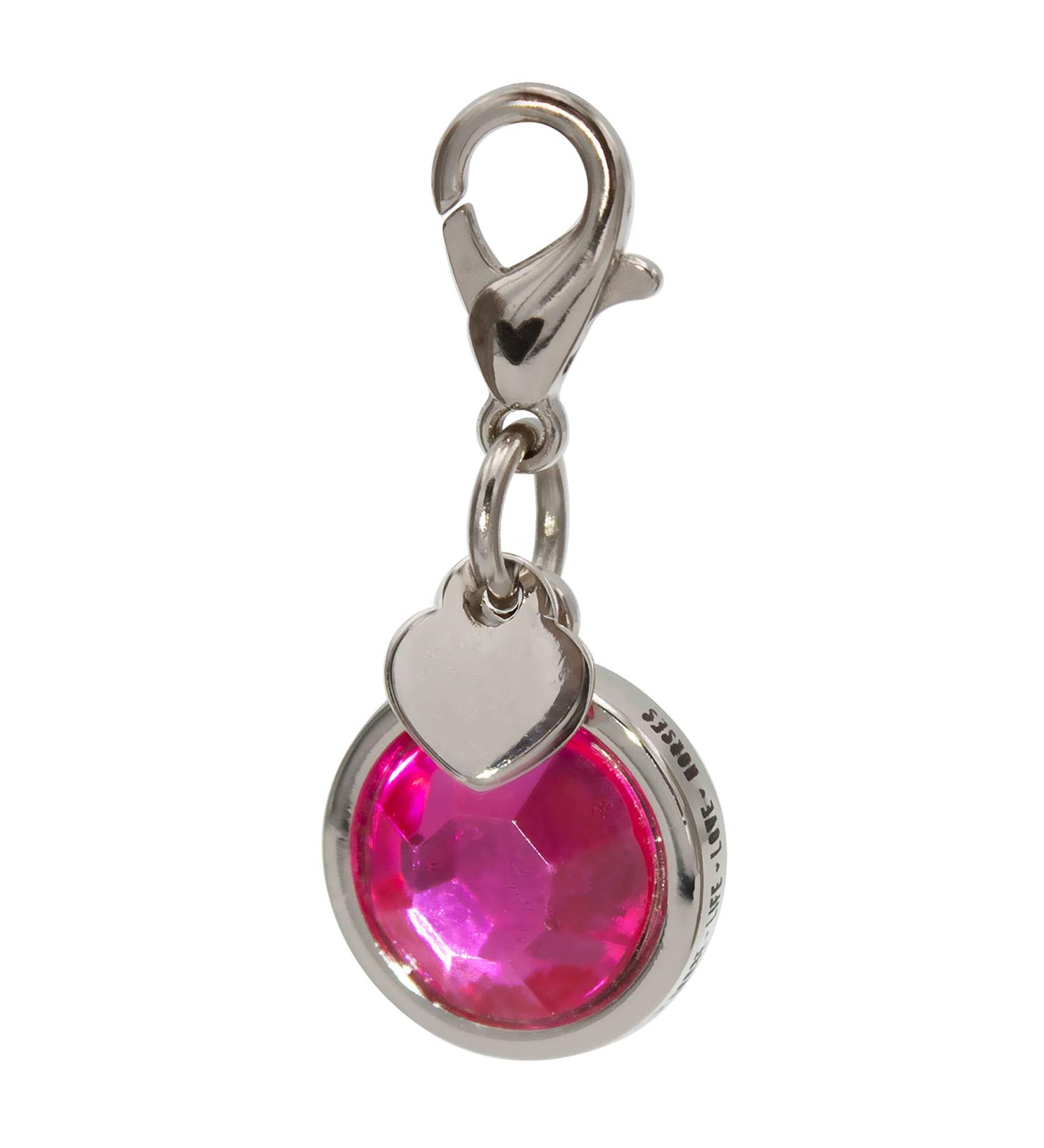 Soulhorse Bridles & Lucky Charms for Horses | Pink Charm Keychain & Trailer Accessories - Buy Online on GoSupps.com