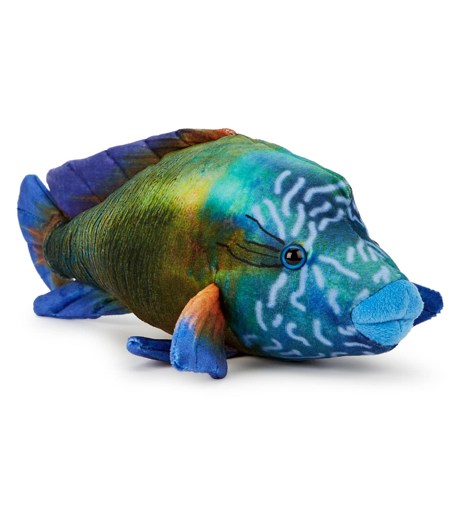 Zappi Co Plush Wrasse Fish Toy - 31cm Soft Stuffed Animal for Kids | Safari Animals Collection - Buy Online on GoSupps.com