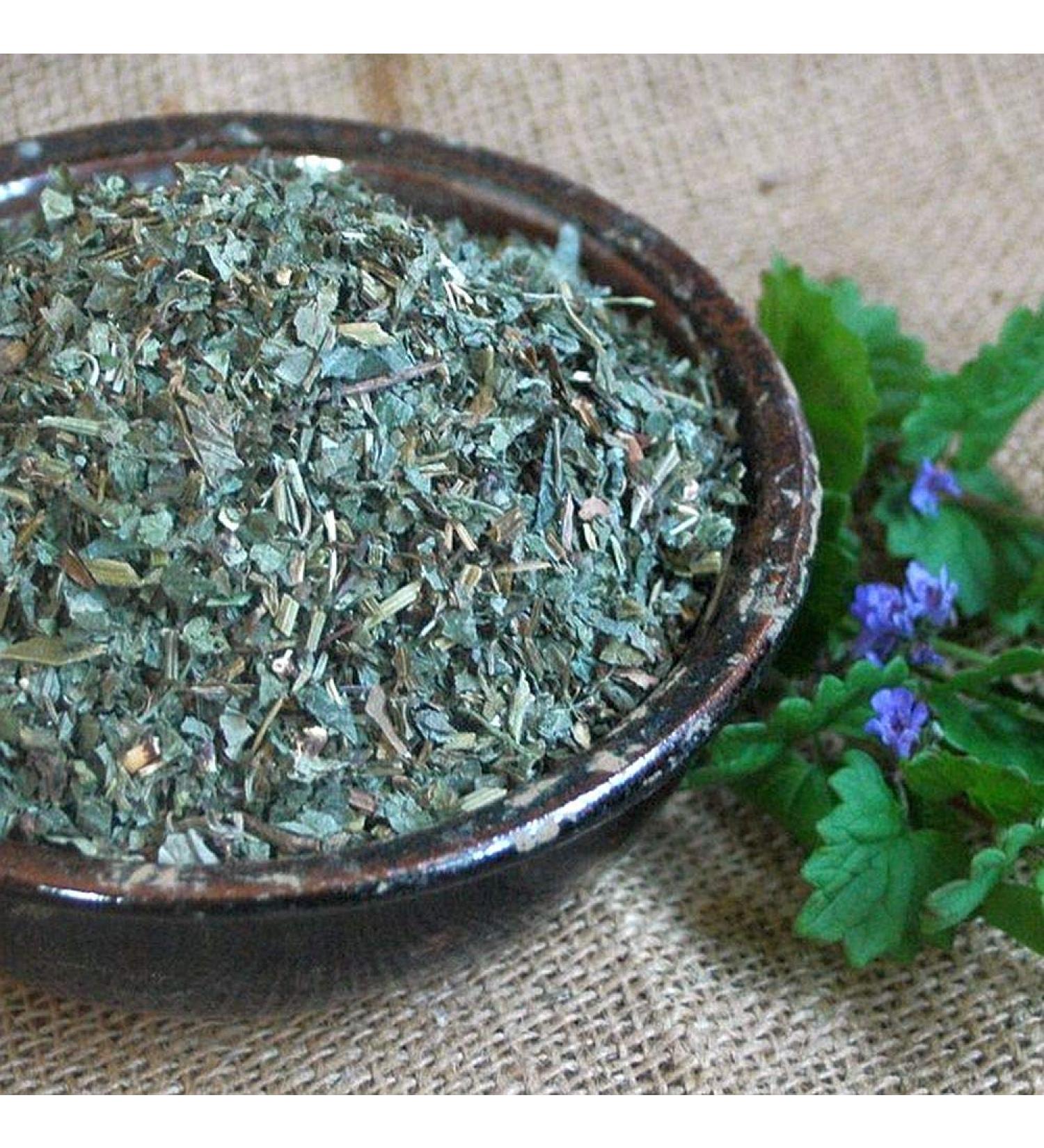 Krauterino24 Krauterino24 - Gundermann cup - Gundermann tea (1 kg)